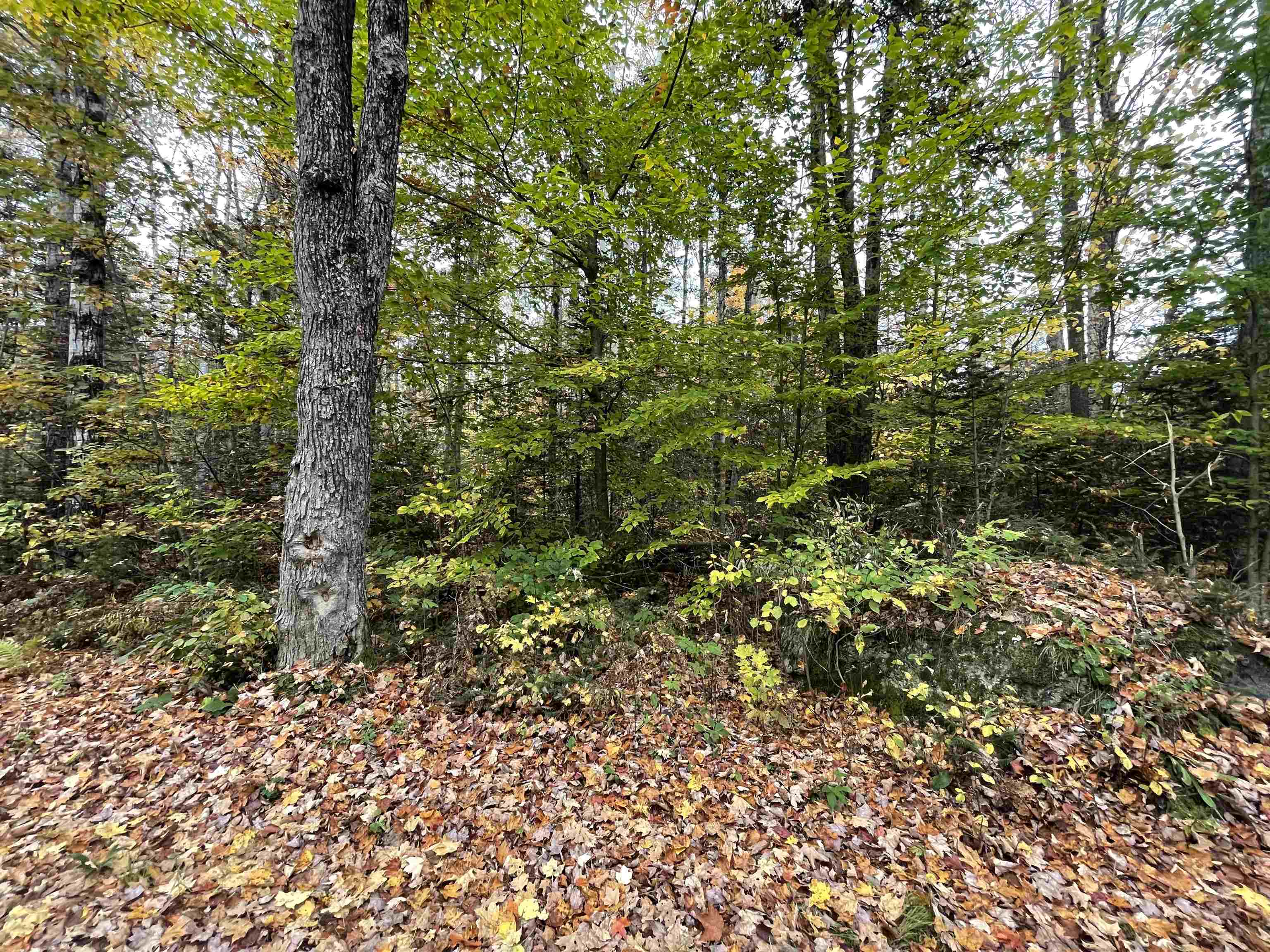 0 Mill Brook Road Landaff, NH 03585 - Photo 2 of 4