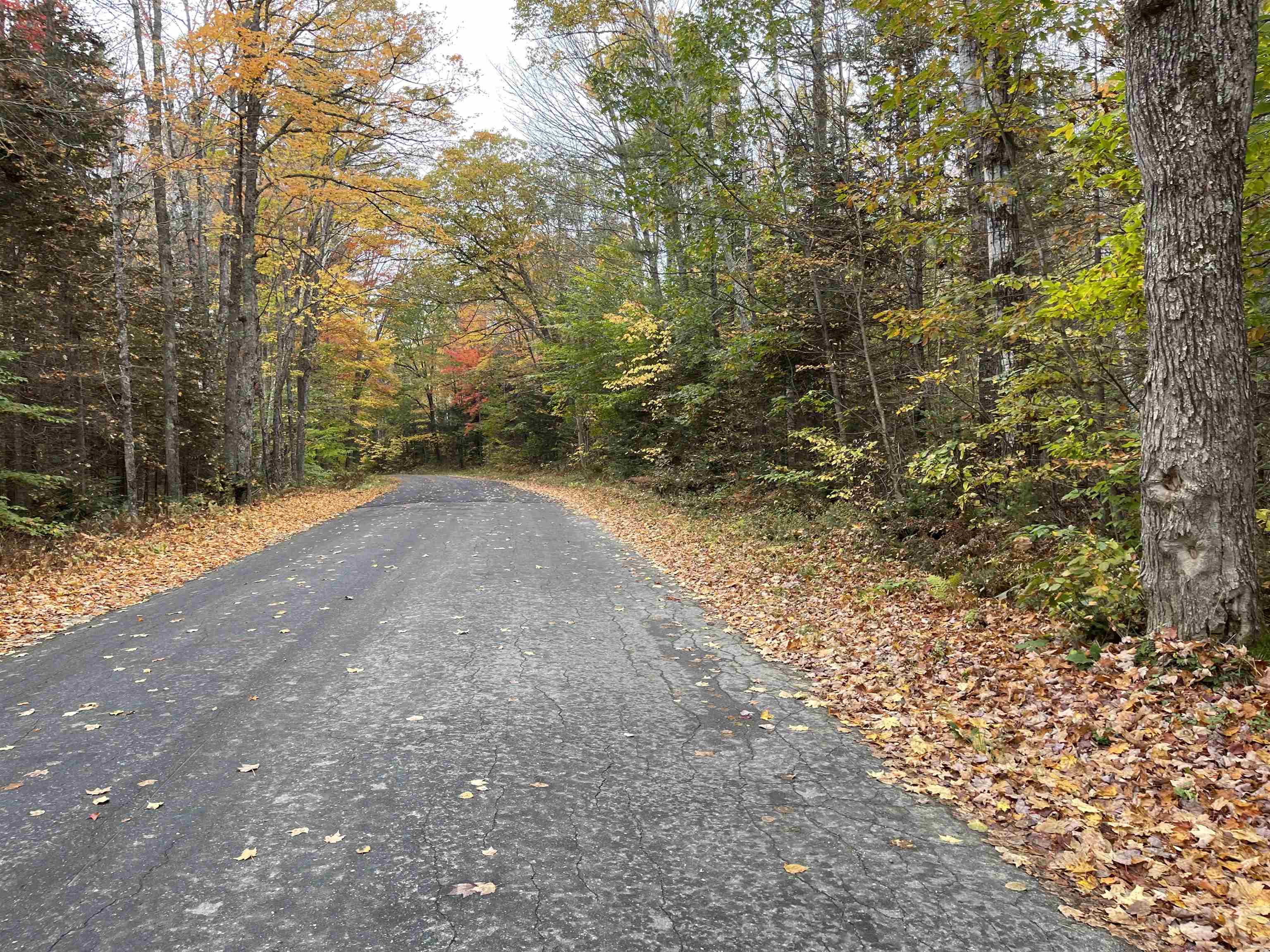 0 Mill Brook Road Landaff, NH 03585 - Photo 3 of 4