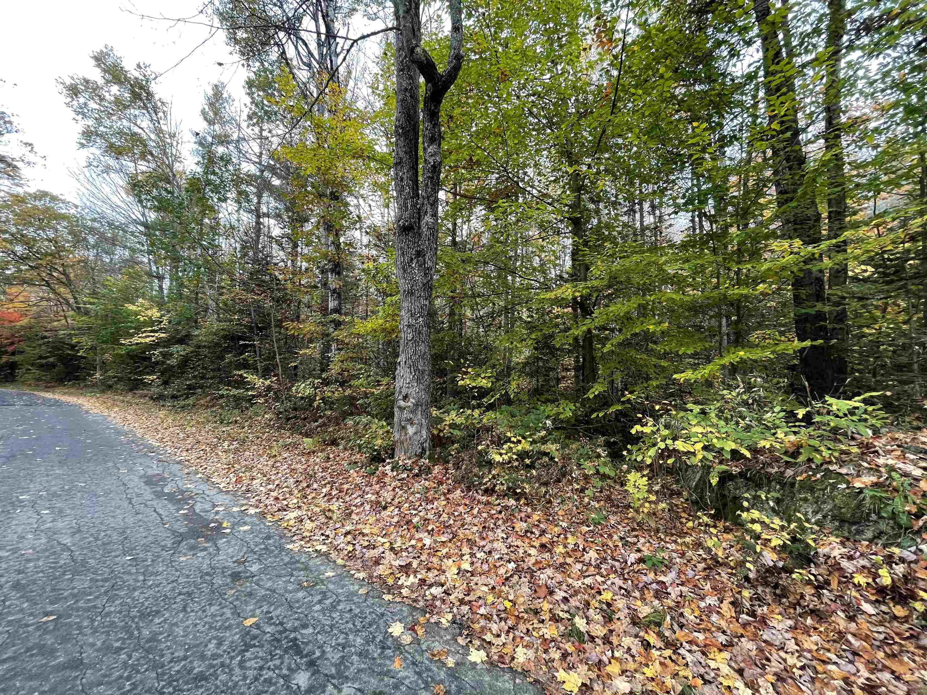 0 Mill Brook Road Landaff, NH 03585 - Photo 4 of 4