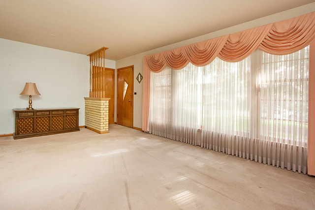 648 North Broadway Avenue Park Ridge, IL 60068 - Photo 3 of 16