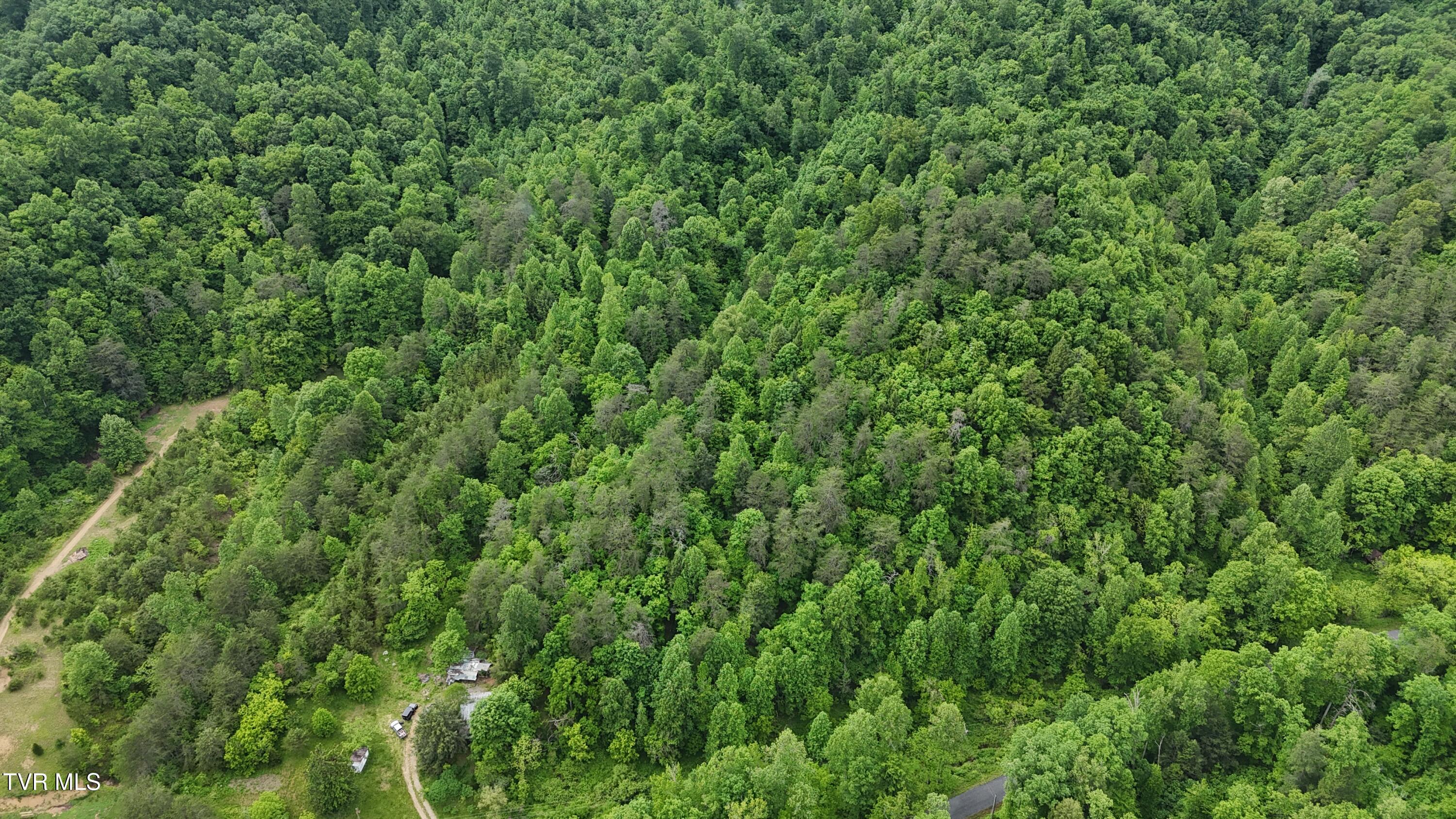 289 A Early Branch Road Rogersville, TN 37857 - Photo 11 of 27 dji_fly_20250519_161622_0065_17476863604