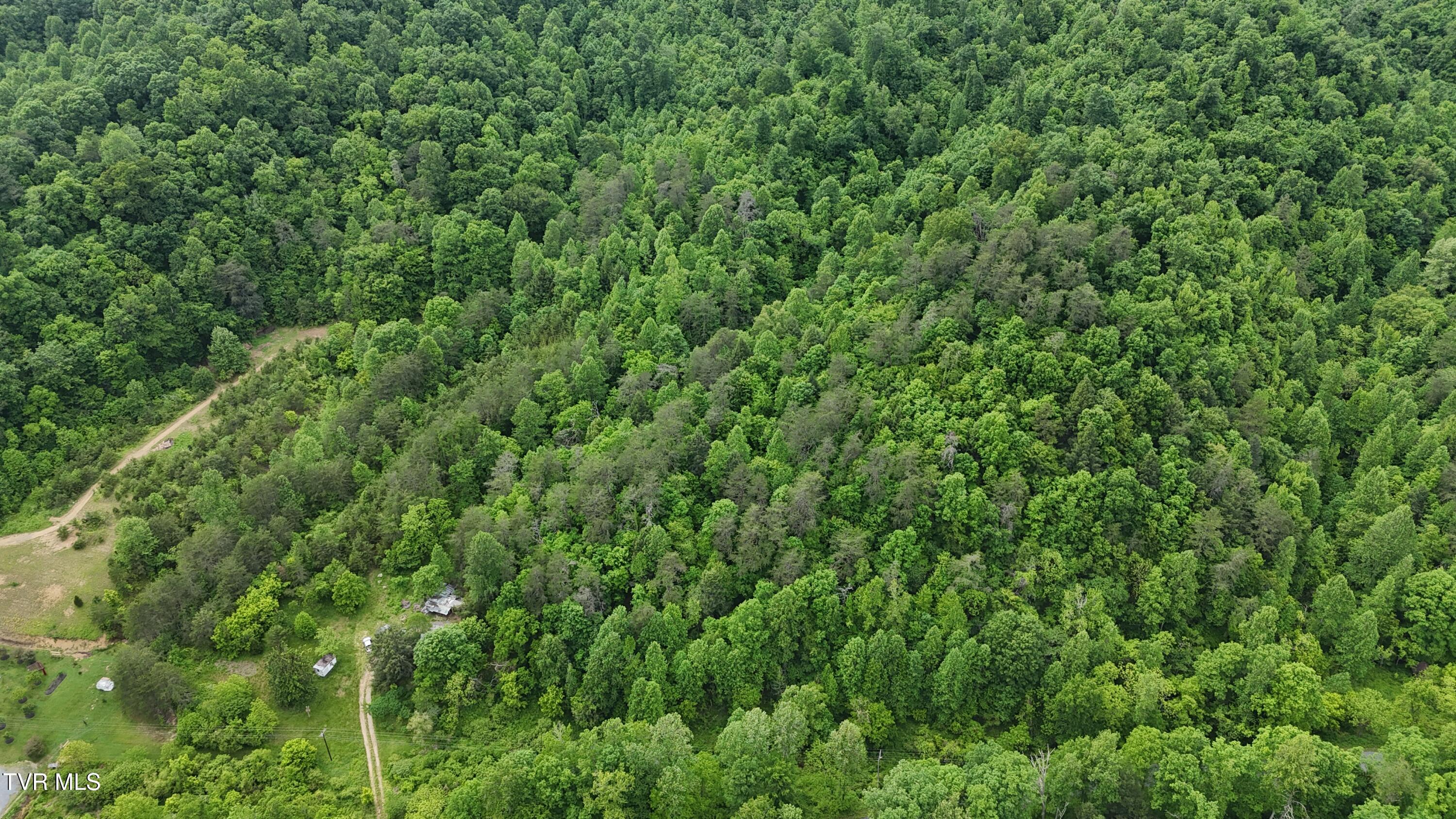 289 A Early Branch Road Rogersville, TN 37857 - Photo 12 of 27 dji_fly_20250519_161640_0066_17476863601