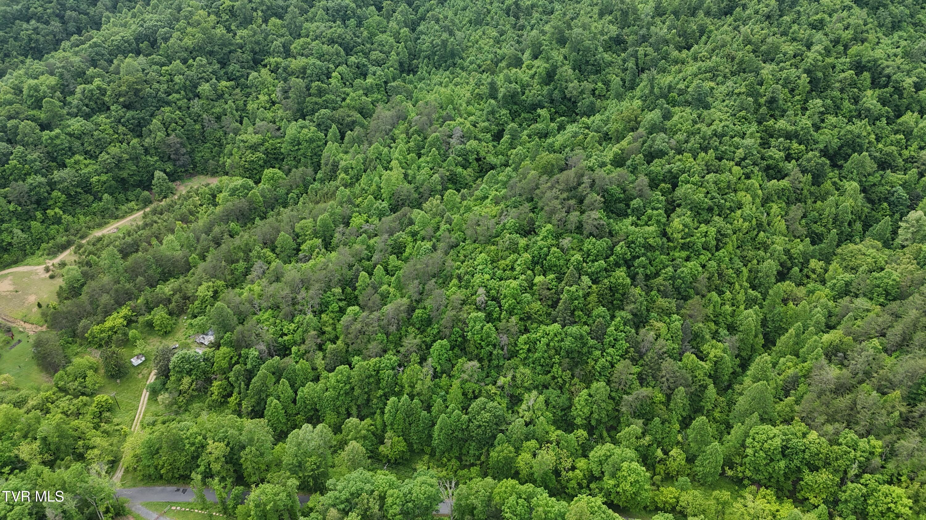 289 A Early Branch Road Rogersville, TN 37857 - Photo 13 of 27 dji_fly_20250519_161702_0067_17476863596