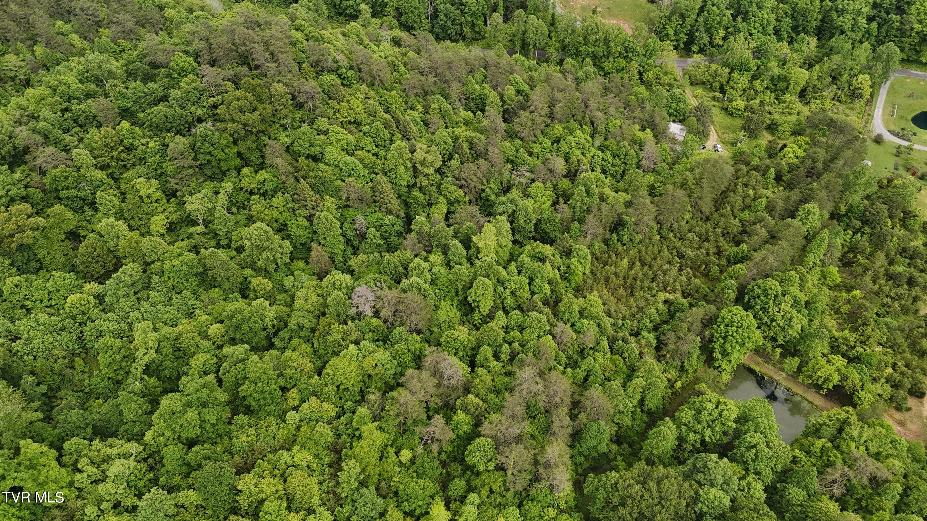 289 A Early Branch Road Rogersville, TN 37857 - Photo 23 of 27 dji_fly_20250519_161950_0078_17476863548