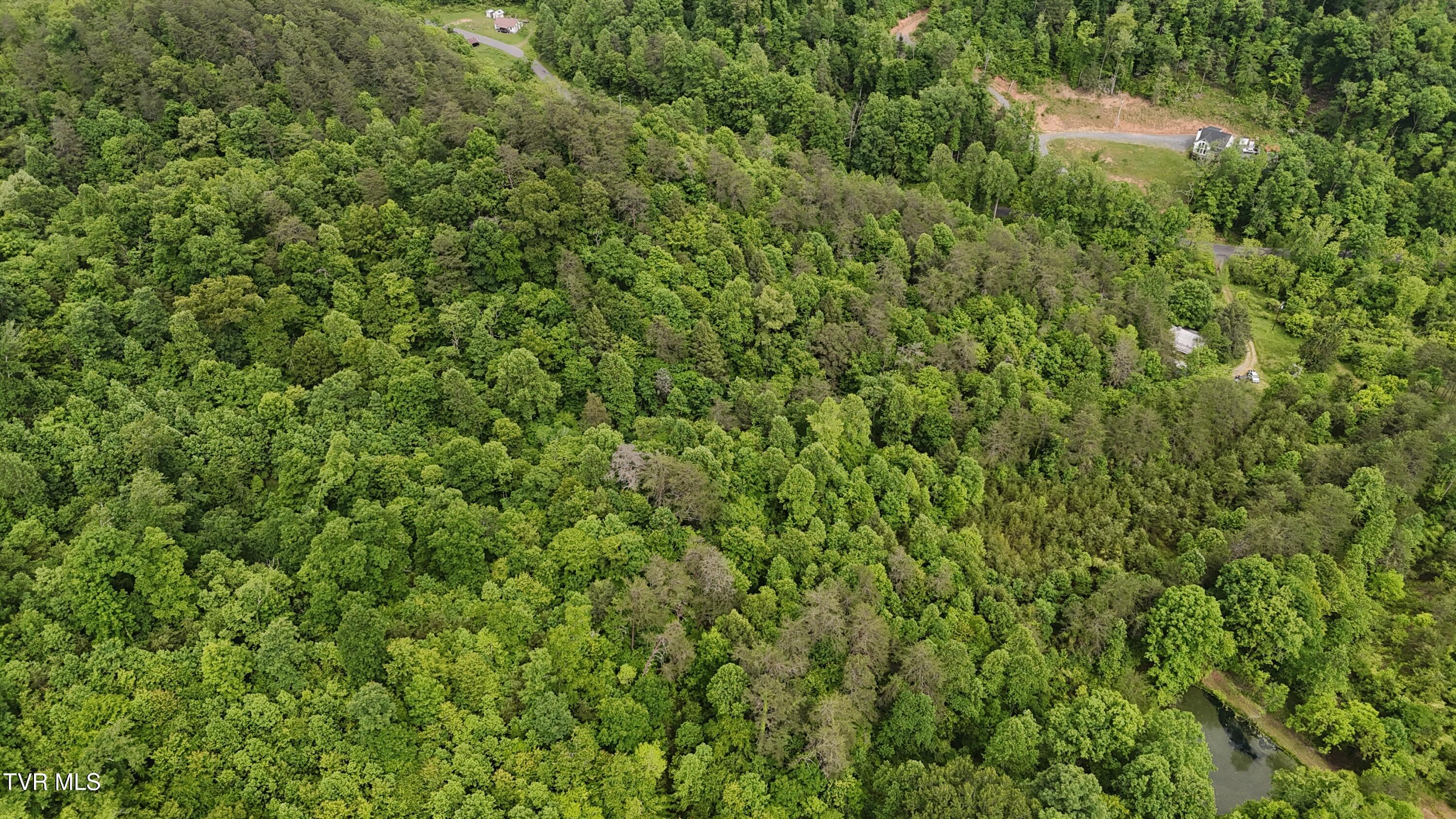 289 A Early Branch Road Rogersville, TN 37857 - Photo 24 of 27 dji_fly_20250519_161958_0079_17476863543