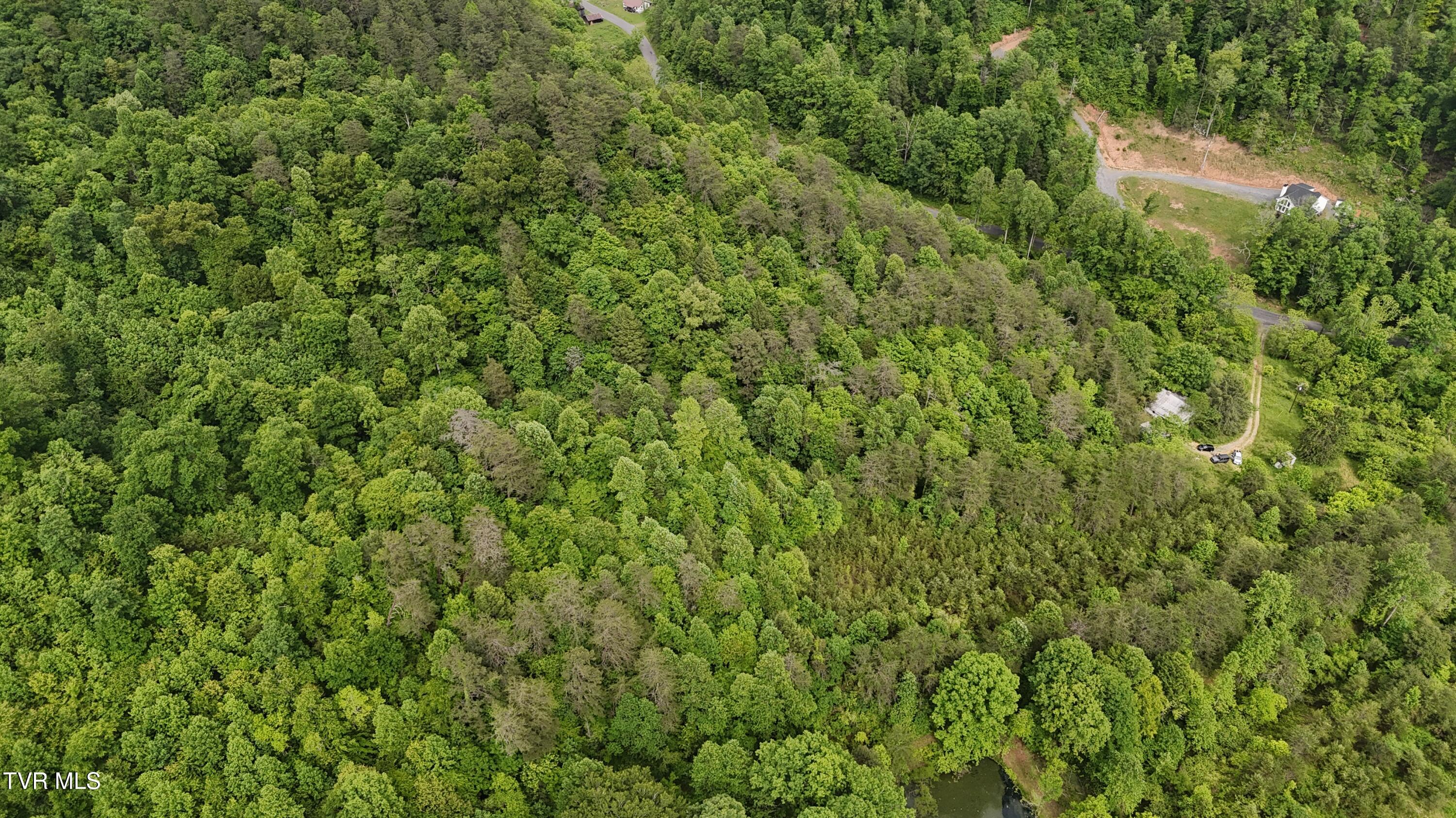 289 A Early Branch Road Rogersville, TN 37857 - Photo 25 of 27 dji_fly_20250519_162012_0080_17476863539