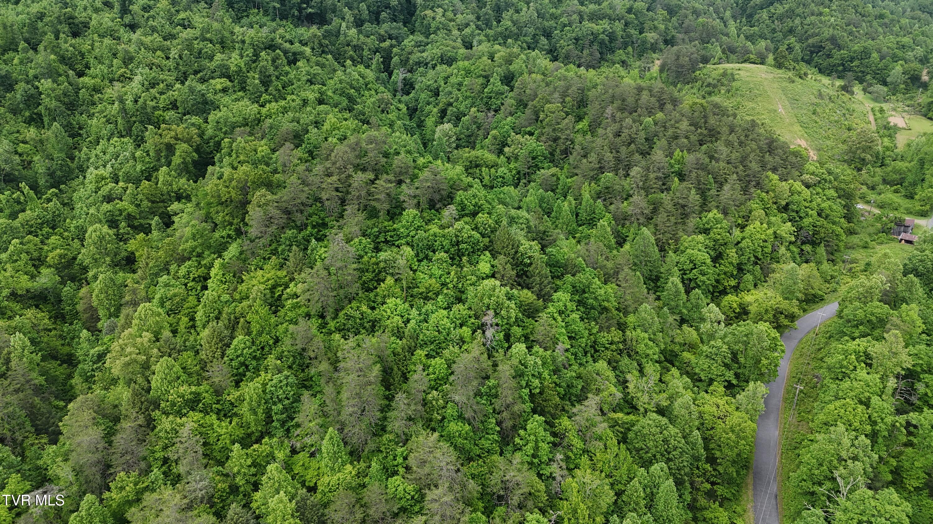 289 A Early Branch Road Rogersville, TN 37857 - Photo 26 of 27 dji_fly_20250519_162302_0091_17476863491