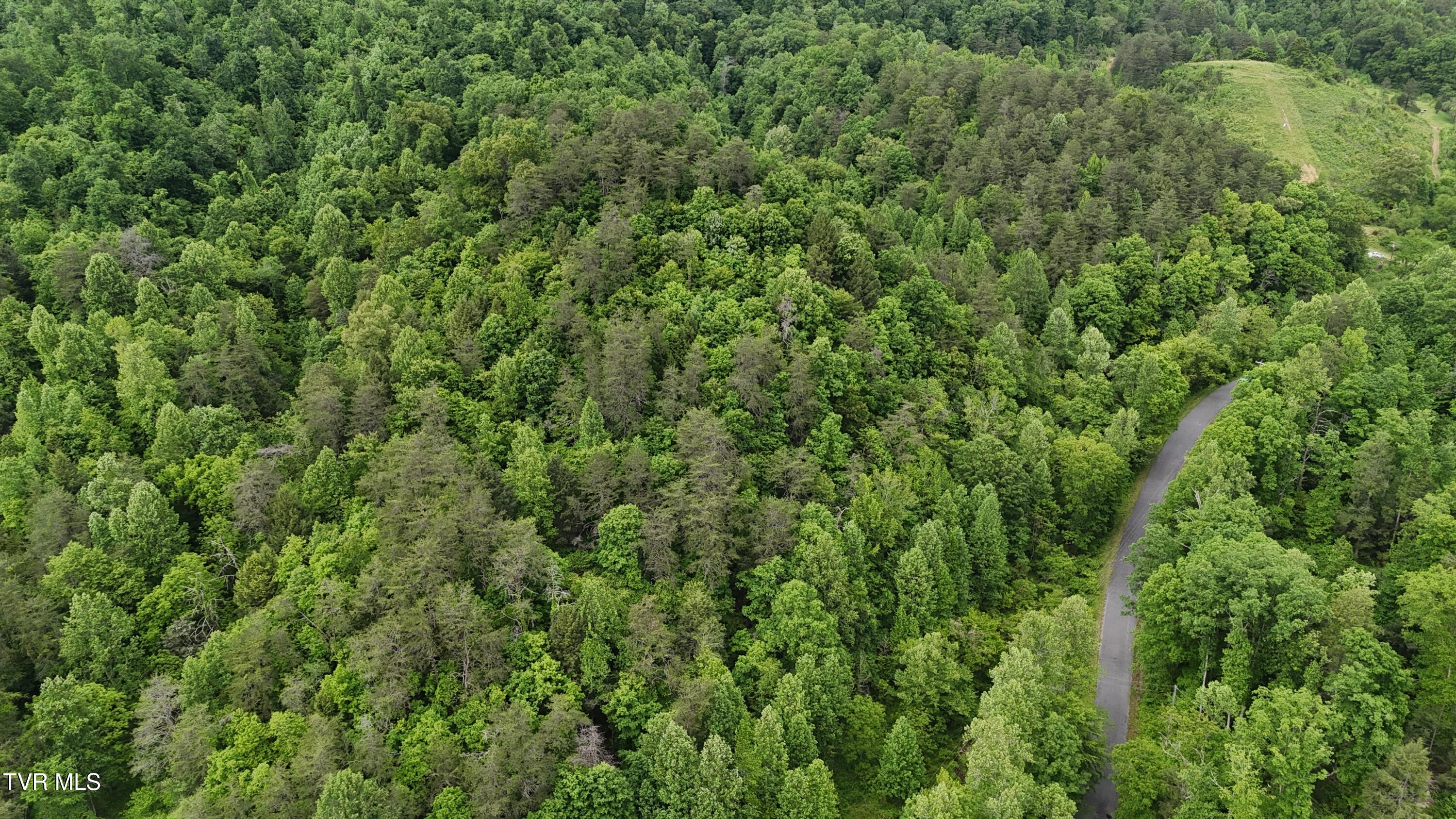 289 A Early Branch Road Rogersville, TN 37857 - Photo 27 of 27 dji_fly_20250519_162314_0092_17476863487