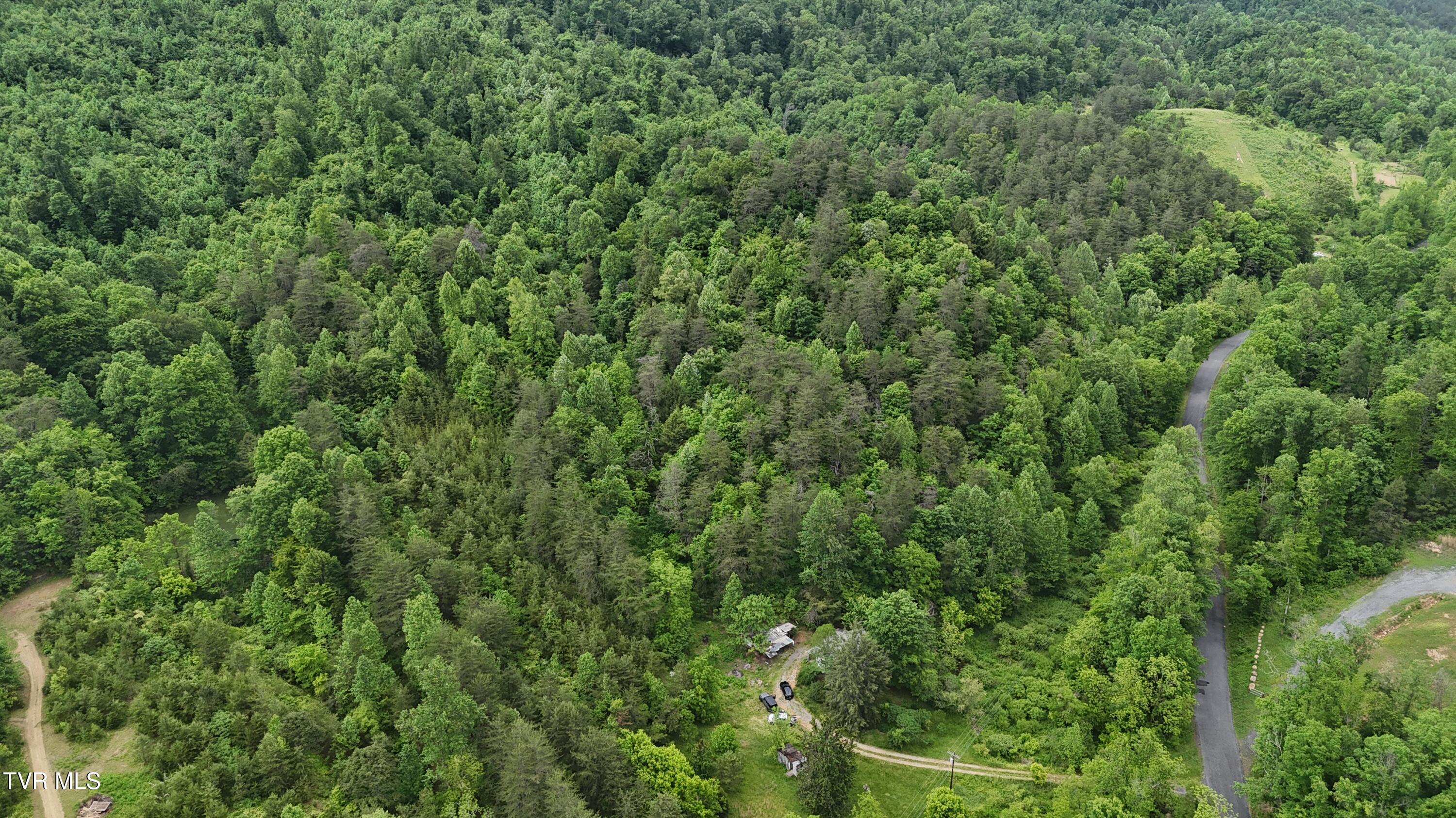 289 A Early Branch Road Rogersville, TN 37857 - Photo 5 of 27 dji_fly_20250519_161452_0059_17476863630