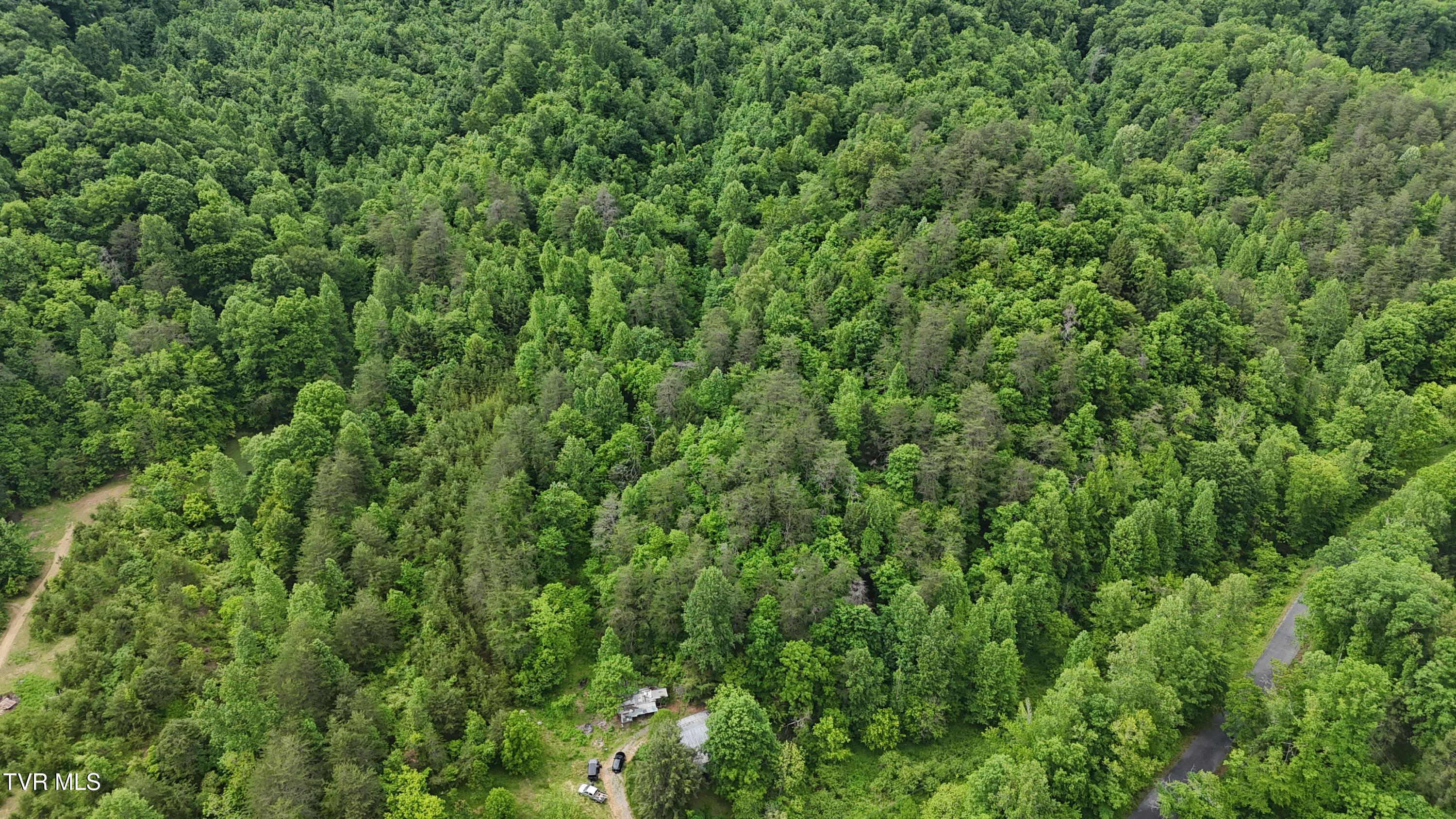 289 A Early Branch Road Rogersville, TN 37857 - Photo 8 of 27 dji_fly_20250519_161540_0062_17476863617