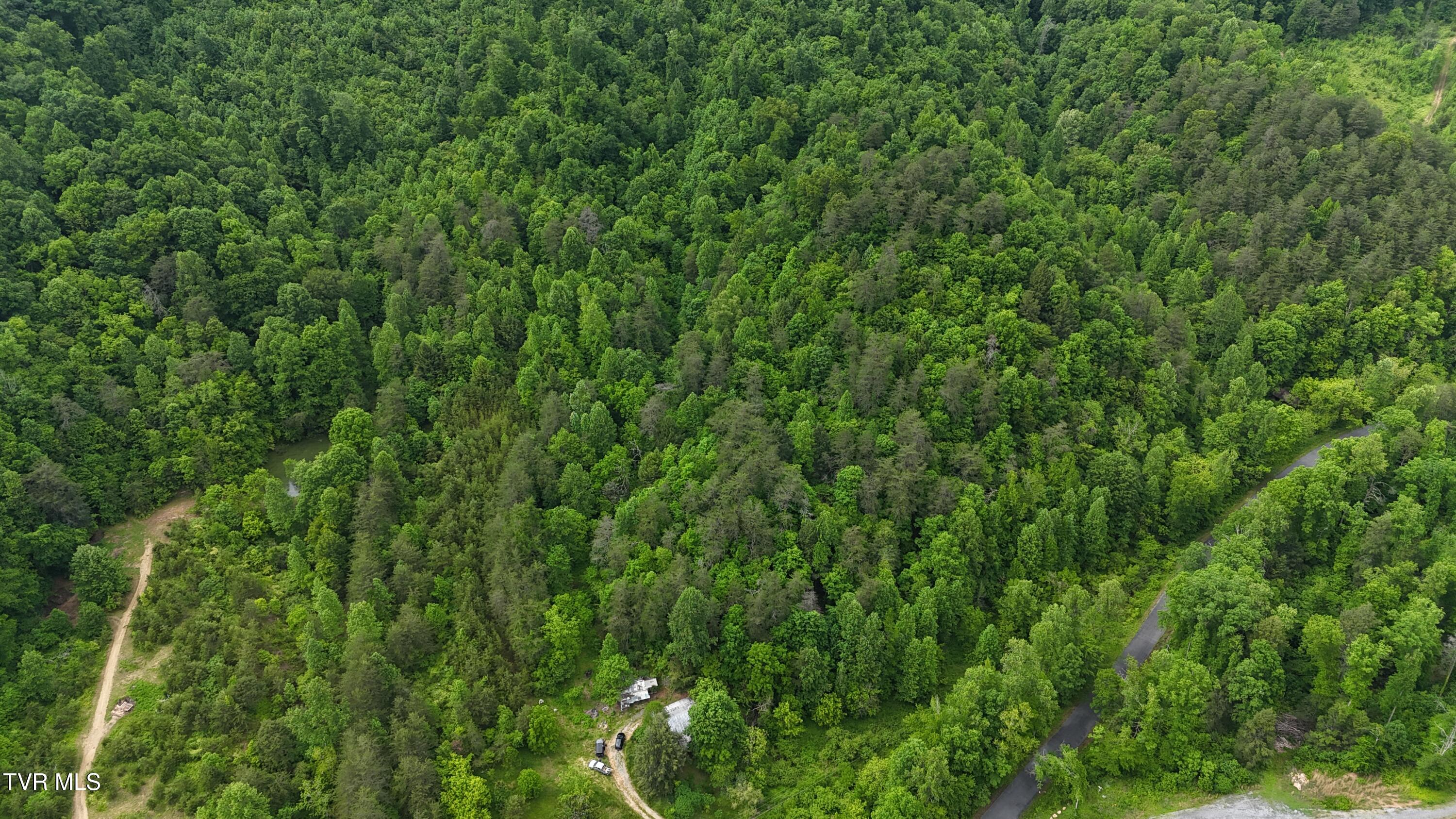 289 A Early Branch Road Rogersville, TN 37857 - Photo 9 of 27 dji_fly_20250519_161600_0063_17476863612