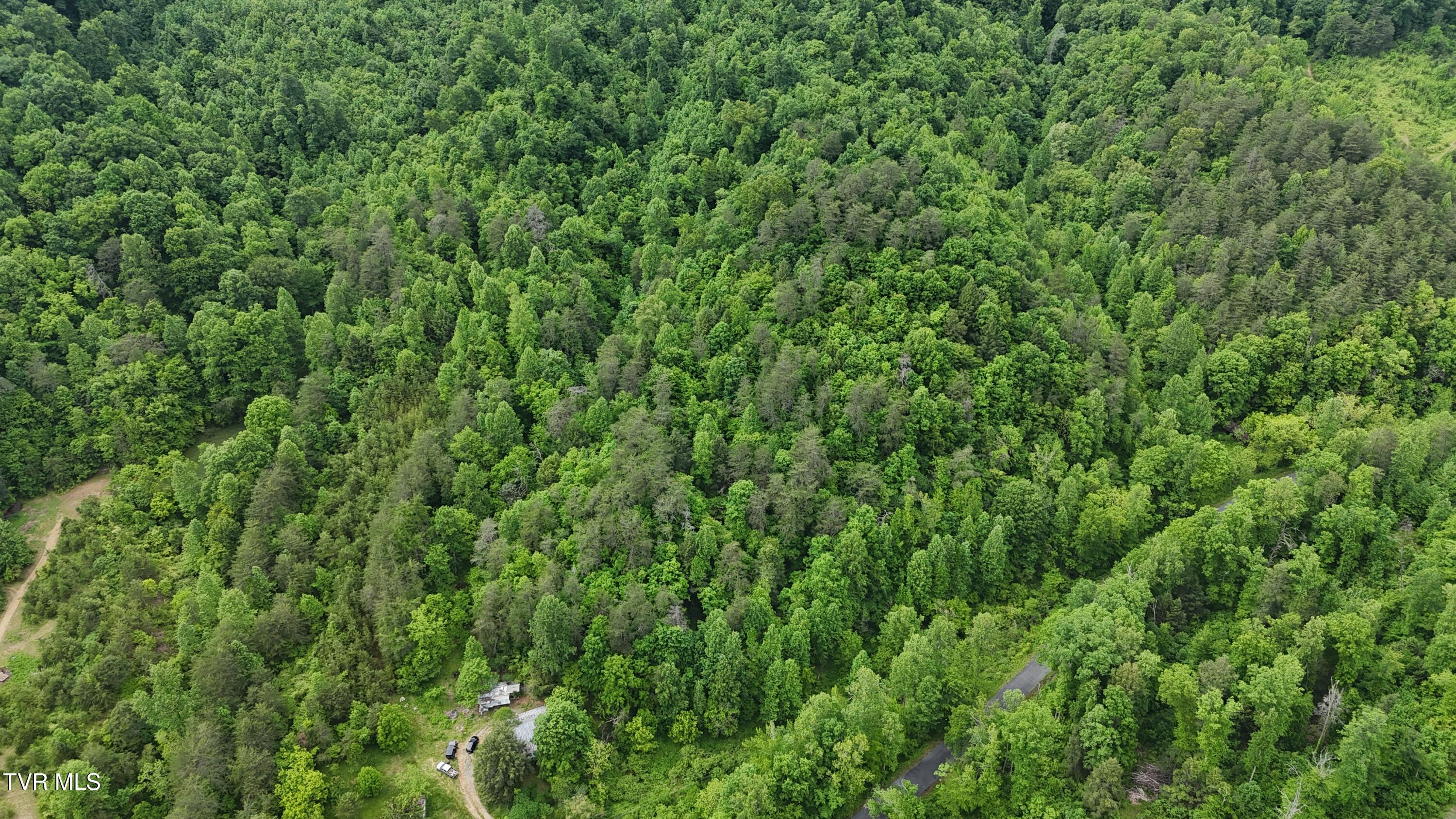 289 A Early Branch Road Rogersville, TN 37857 - Photo 10 of 27 dji_fly_20250519_161606_0064_17476863608