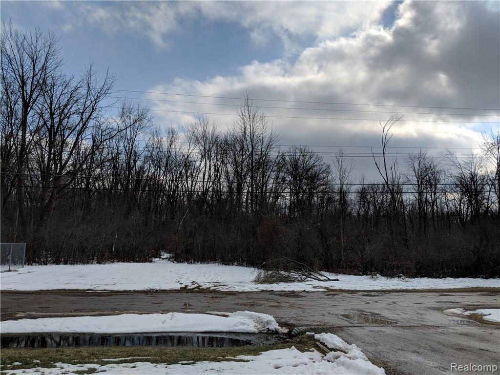 4222 Crocus Road Waterford, MI 48328 - Photo 31 of 31 VIEW ACROSS THE STREET/PRIVATE/DEAD END ROAD