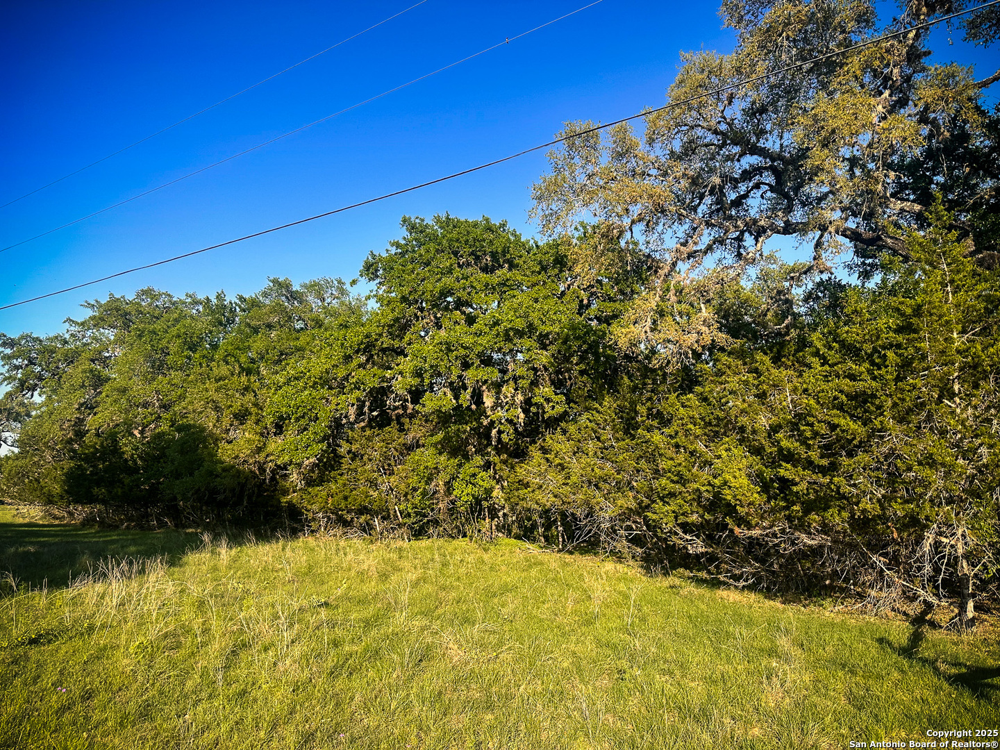 Lot 12 Brown Saddle Bandera, TX 78003 - Photo 1 of 18 a view of a lake