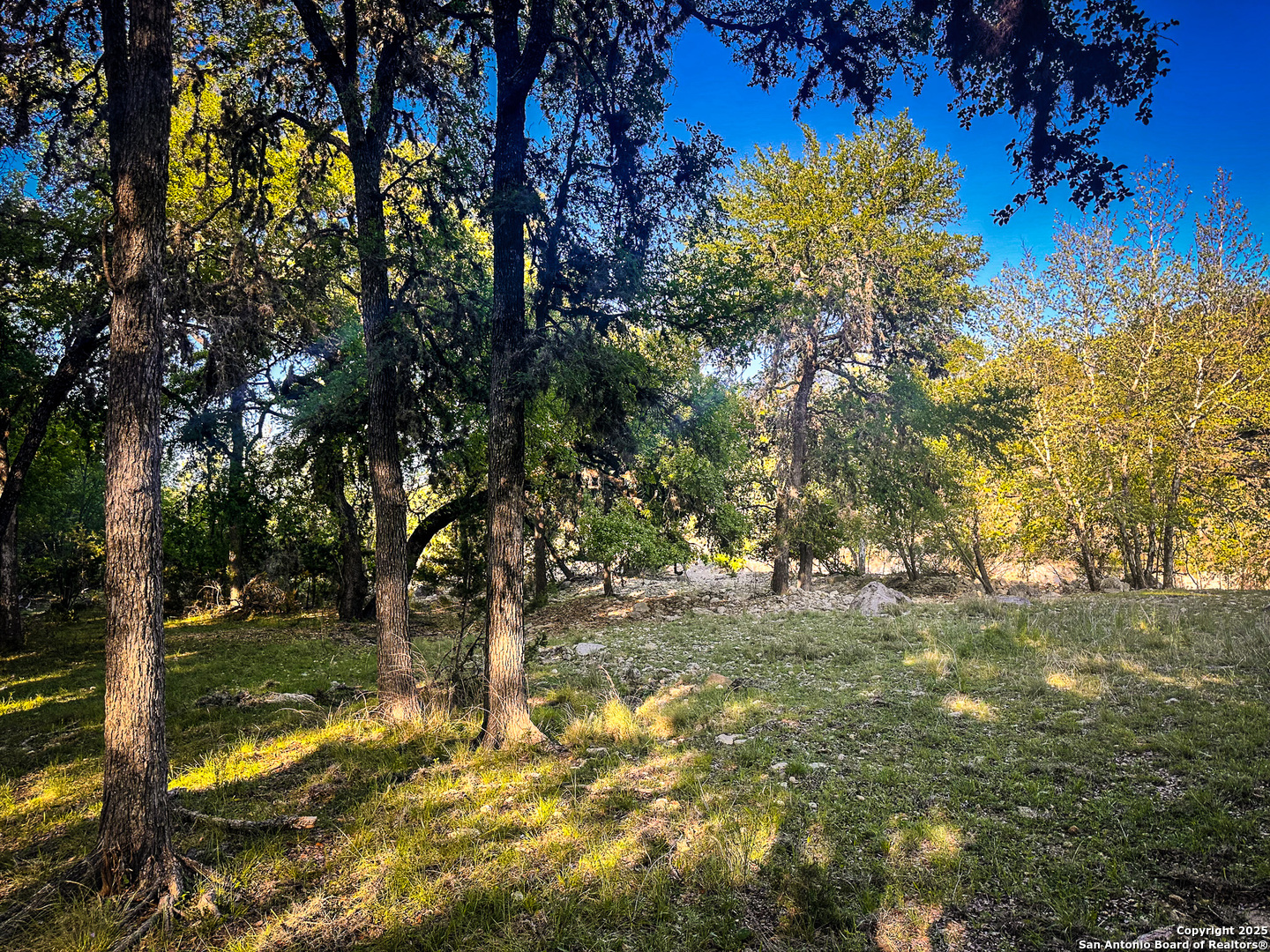 Lot 12 Brown Saddle Bandera, TX 78003 - Photo 5 of 18 a view of a yard with a tree