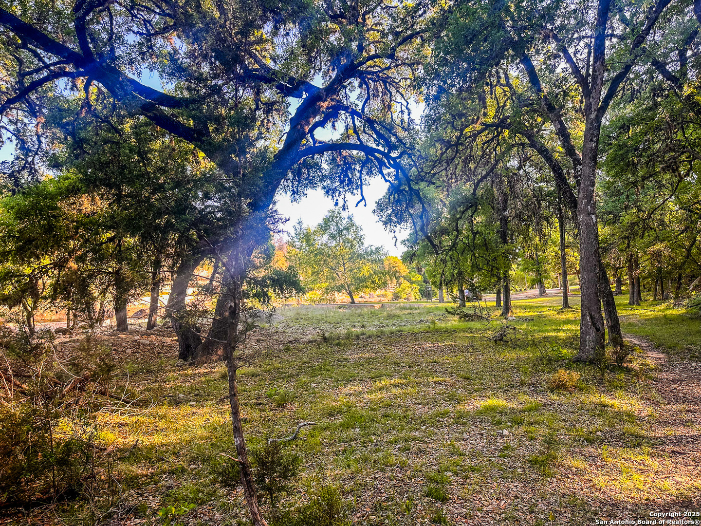 Lot 12 Brown Saddle Bandera, TX 78003 - Photo 10 of 18 a view of yard with trees
