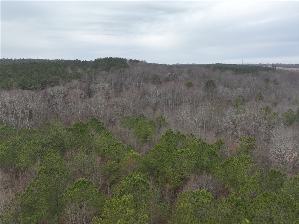 615 Generostee Church Road Starr, SC 29684 - Photo 12 of 45