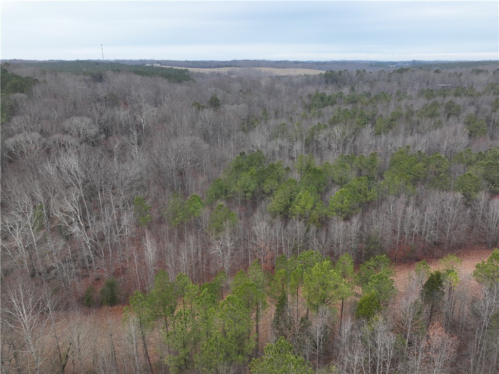 615 Generostee Church Road Starr, SC 29684 - Photo 13 of 45