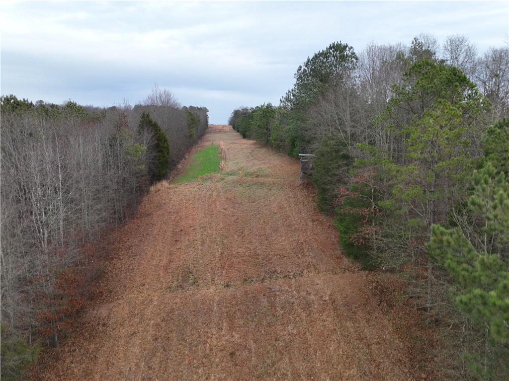 615 Generostee Church Road Starr, SC 29684 - Photo 14 of 45