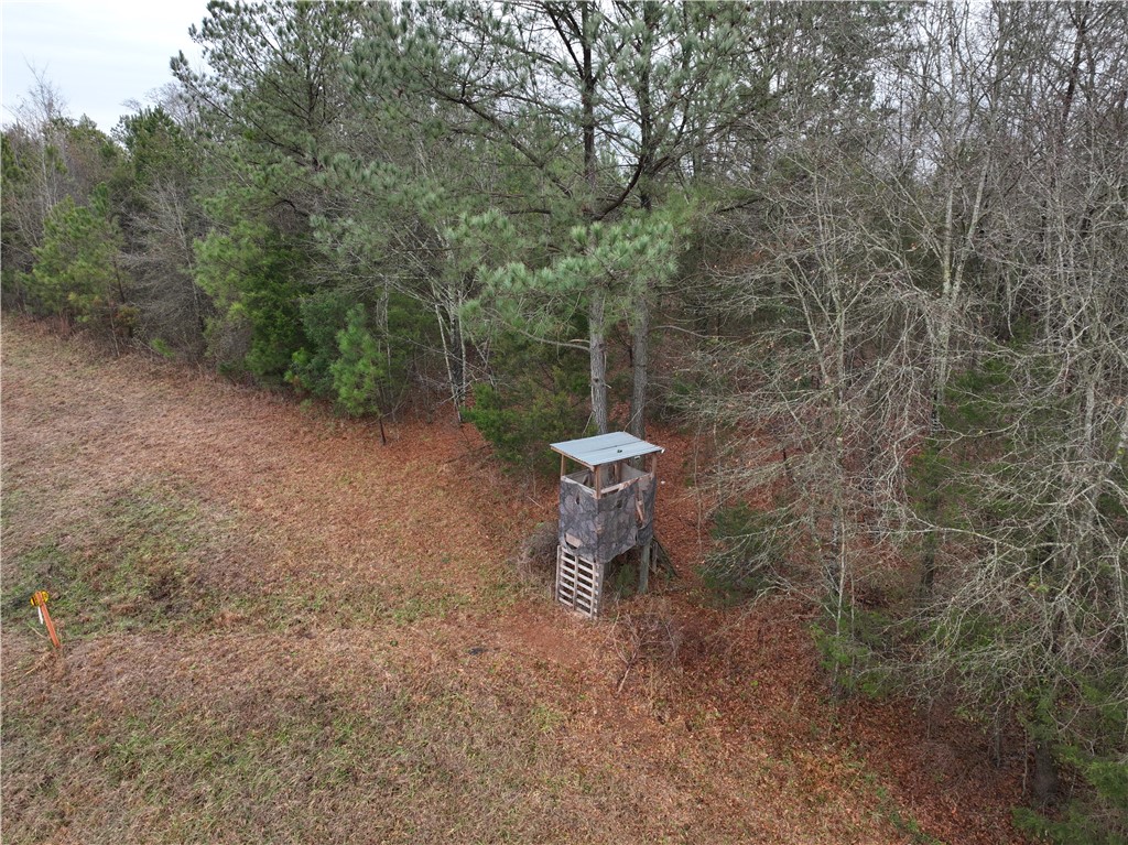 615 Generostee Church Road Starr, SC 29684 - Photo 15 of 45