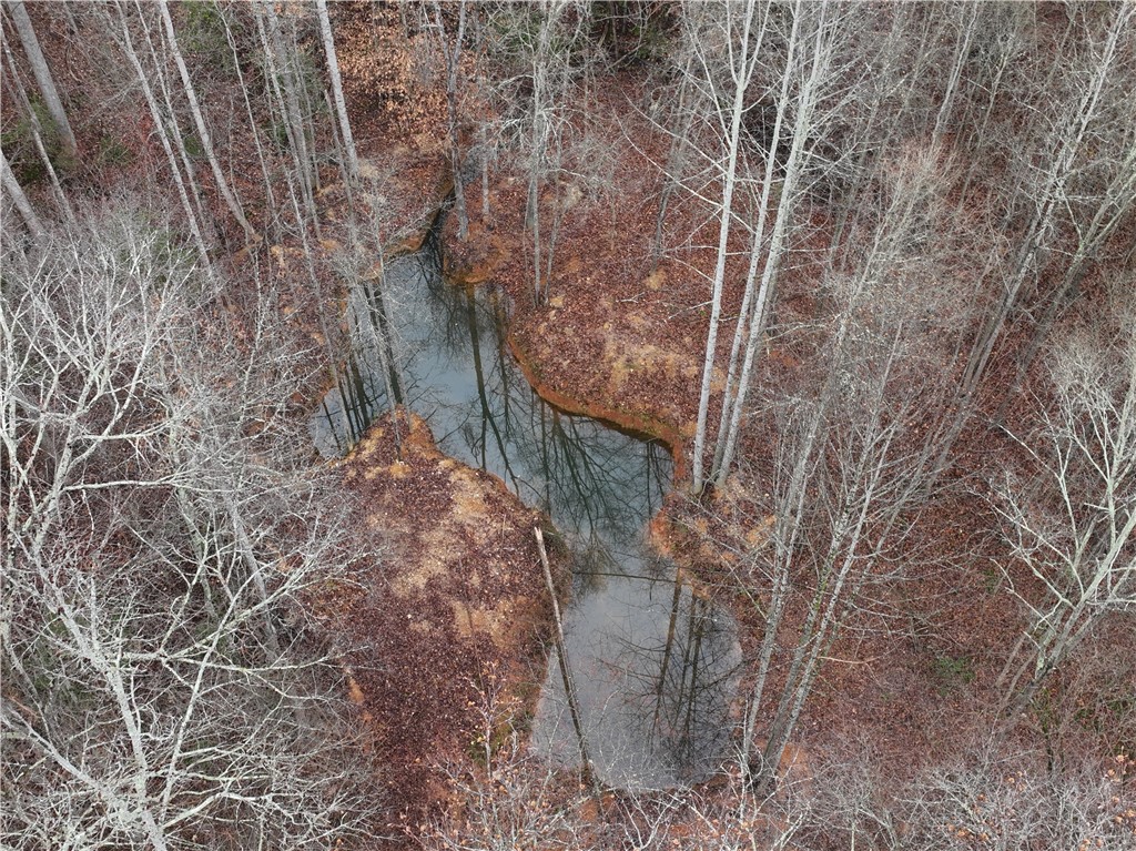 615 Generostee Church Road Starr, SC 29684 - Photo 17 of 45