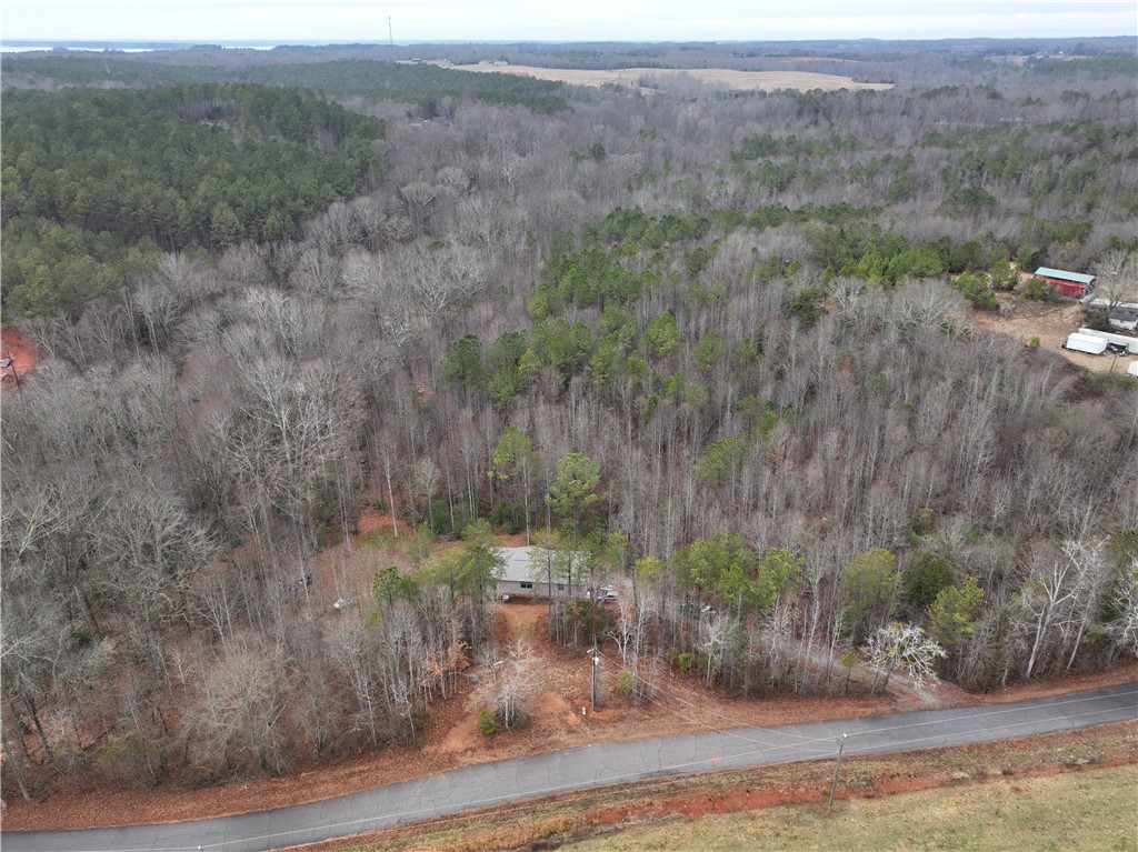 615 Generostee Church Road Starr, SC 29684 - Photo 7 of 45