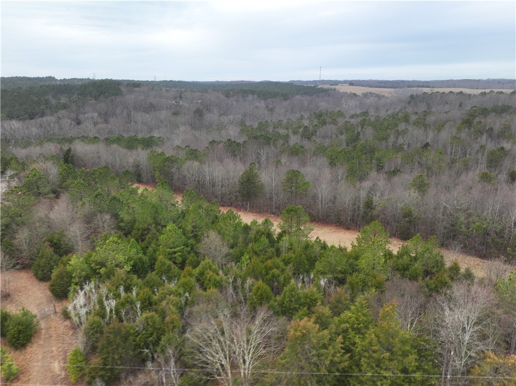 615 Generostee Church Road Starr, SC 29684 - Photo 8 of 45