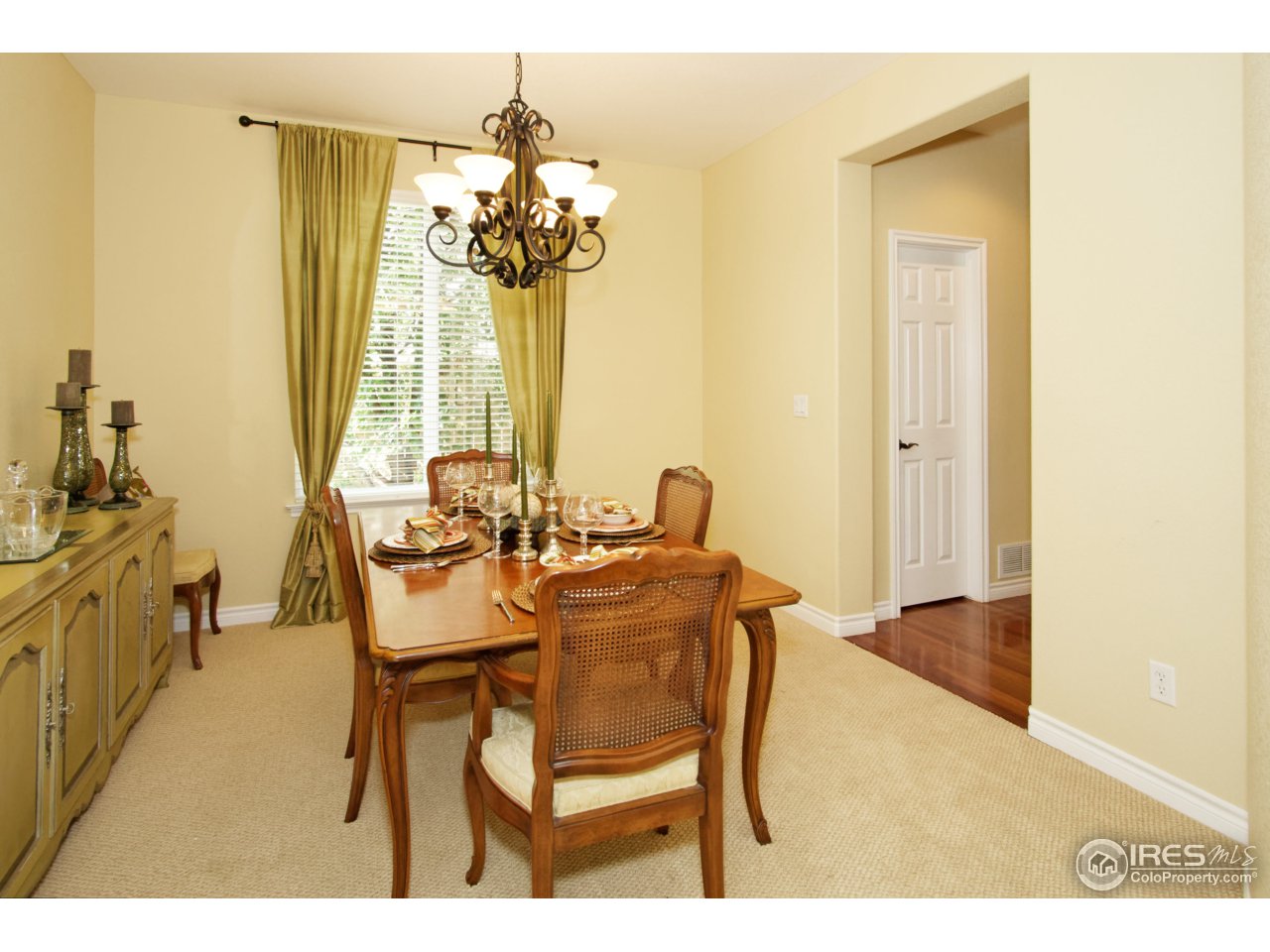 4843 Bluegate Drive Highlands Ranch, CO 80130 - Photo 11 of 40