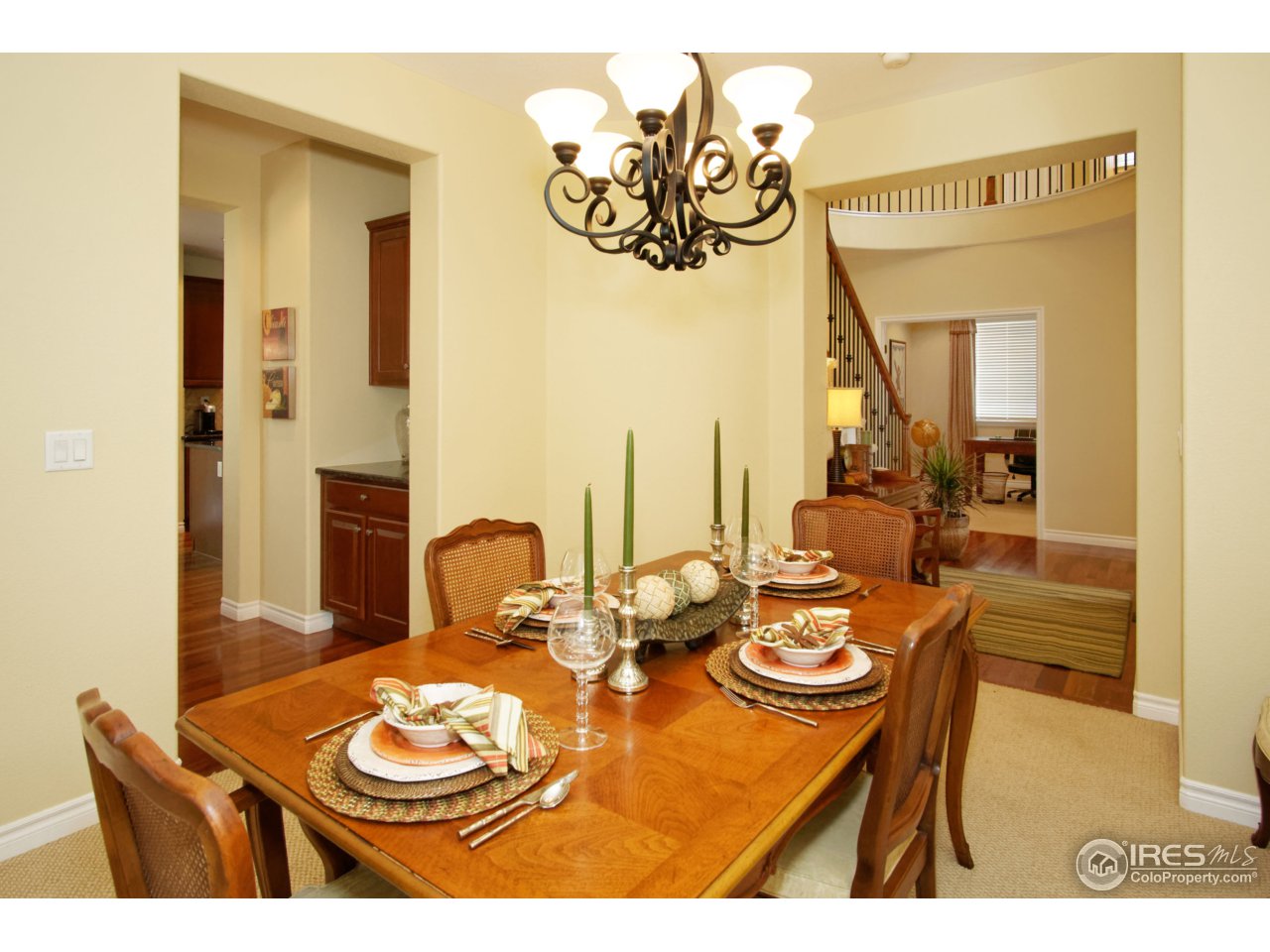 4843 Bluegate Drive Highlands Ranch, CO 80130 - Photo 14 of 40