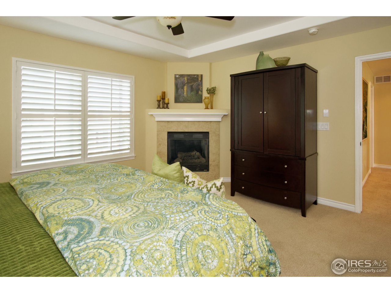 4843 Bluegate Drive Highlands Ranch, CO 80130 - Photo 25 of 40
