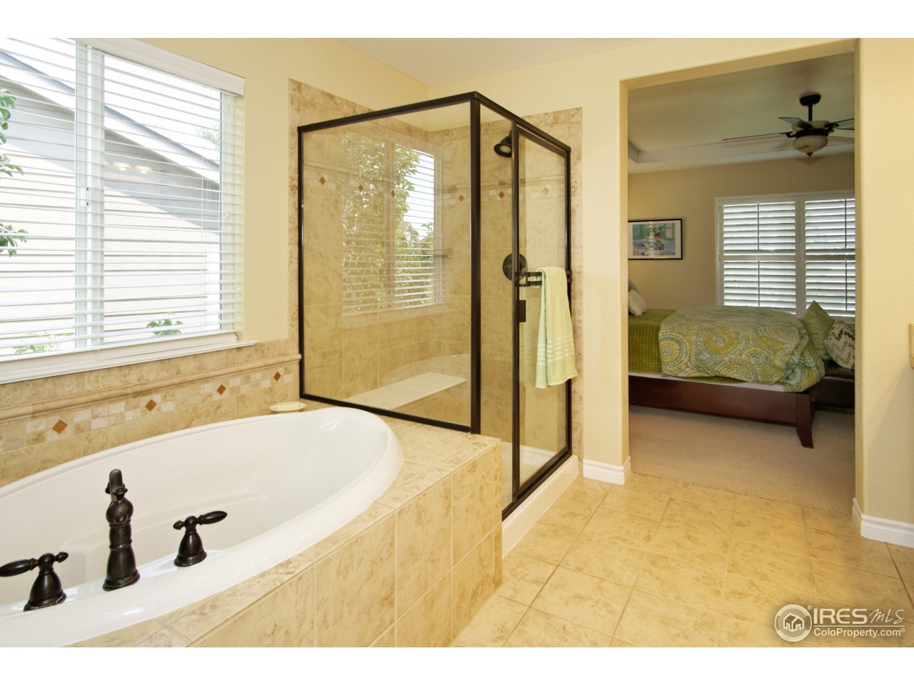 4843 Bluegate Drive Highlands Ranch, CO 80130 - Photo 27 of 40