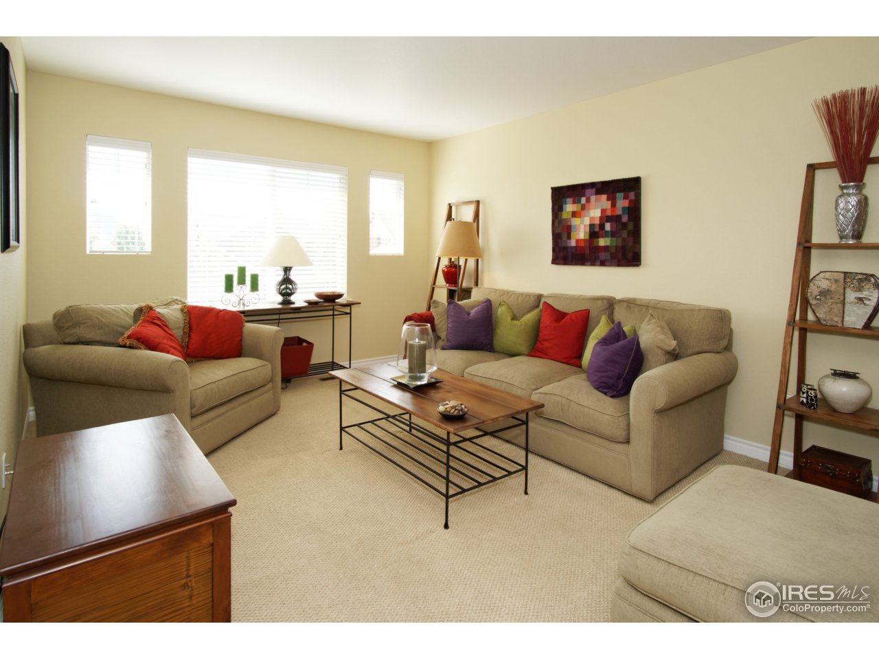 4843 Bluegate Drive Highlands Ranch, CO 80130 - Photo 29 of 40