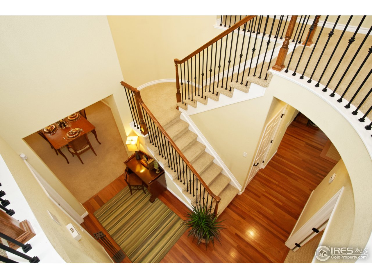 4843 Bluegate Drive Highlands Ranch, CO 80130 - Photo 37 of 40