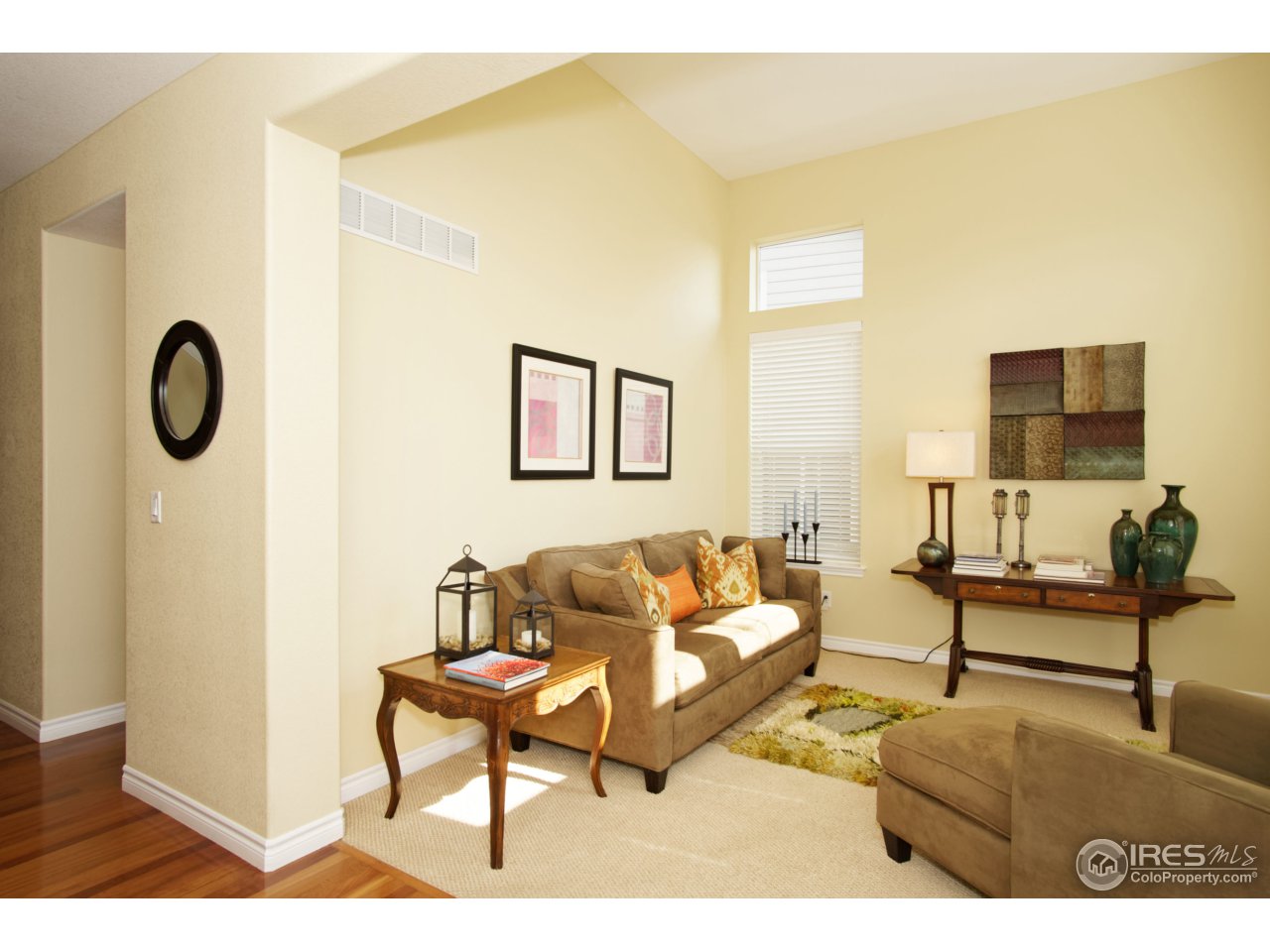 4843 Bluegate Drive Highlands Ranch, CO 80130 - Photo 6 of 40