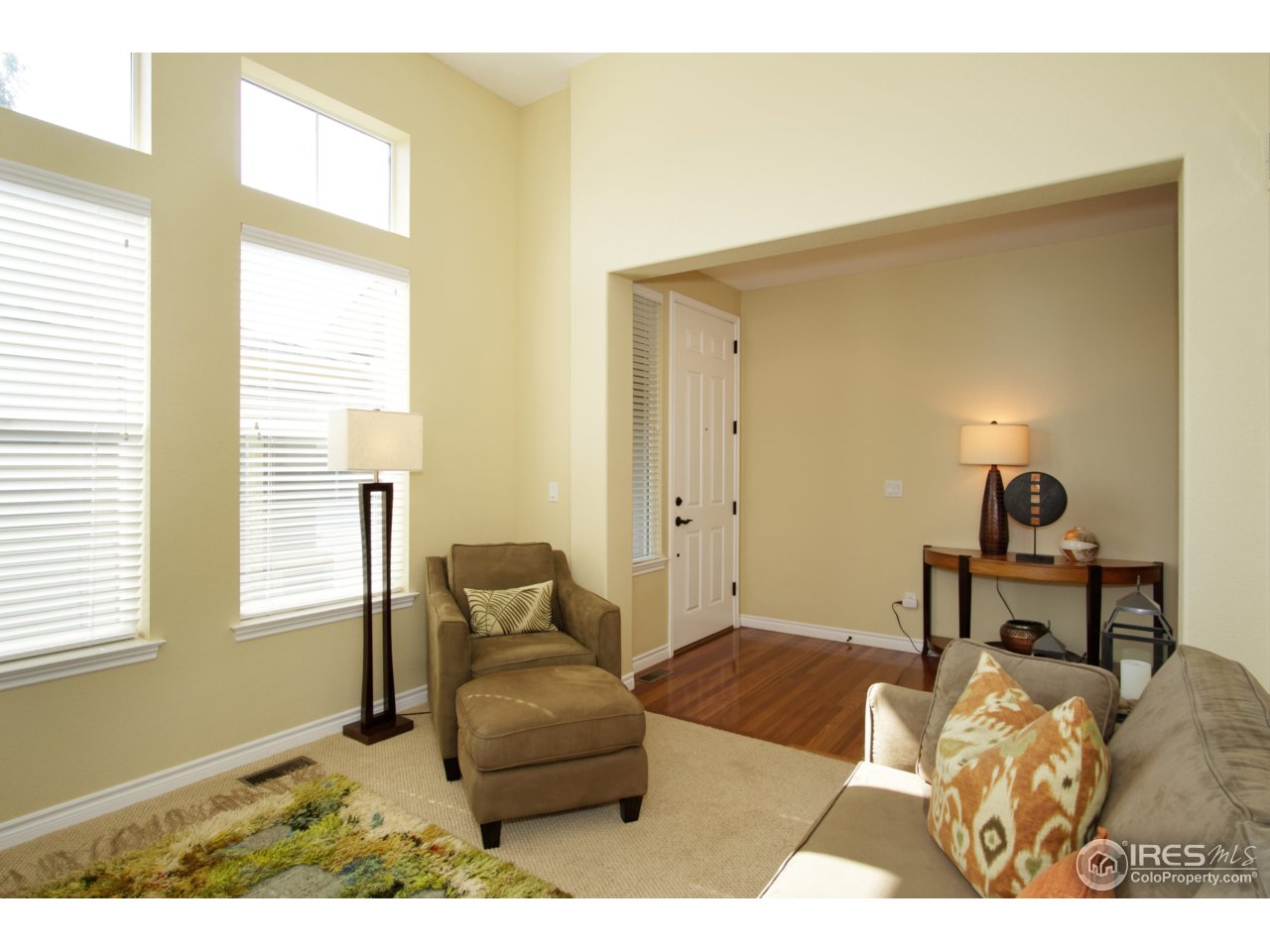 4843 Bluegate Drive Highlands Ranch, CO 80130 - Photo 7 of 40