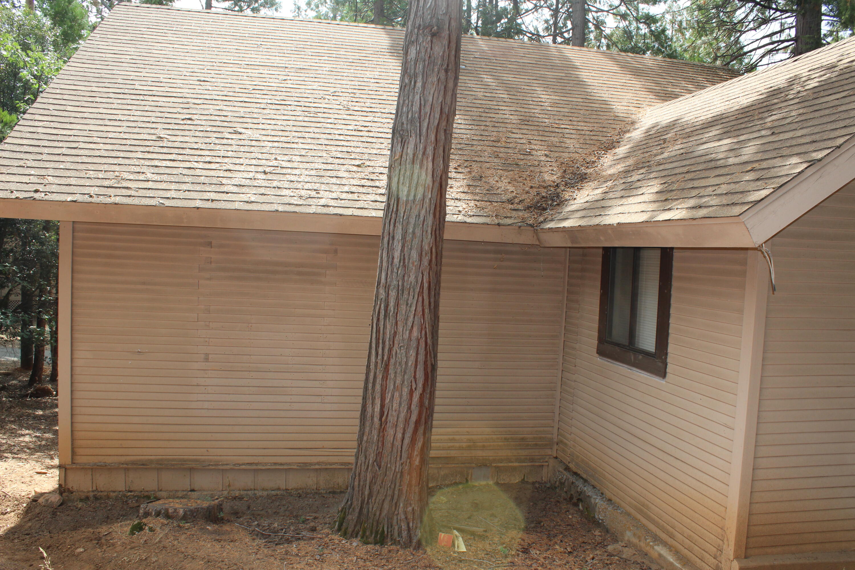 603 Legar Drive Springville, CA 93265 - Photo 41 of 46 IMG_8806