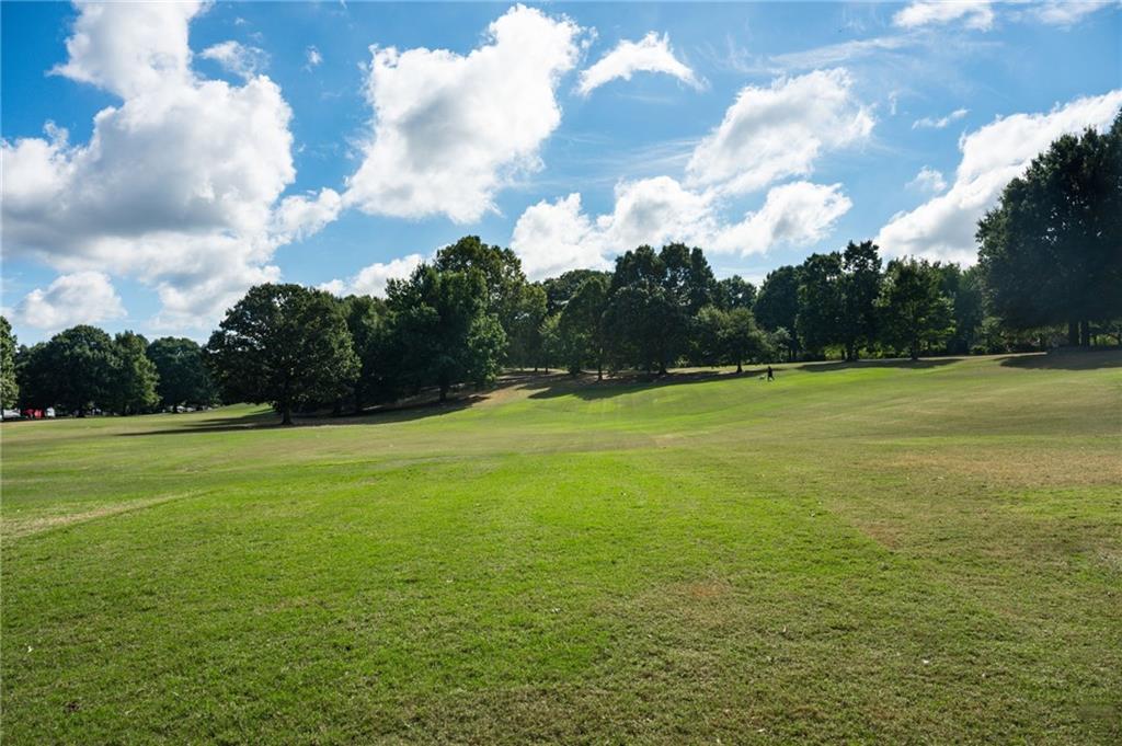 1029 Piedmont Avenue Northeast, Unit 303 Atlanta, GA 30309 - Photo 34 of 44 a view of a green field