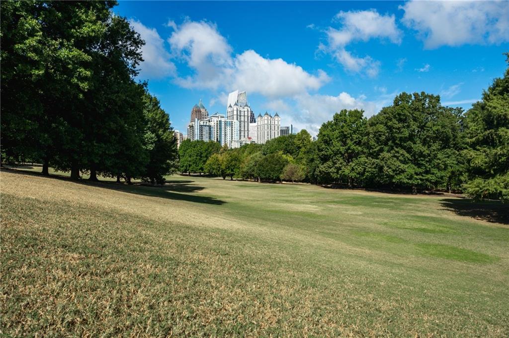 1029 Piedmont Avenue Northeast, Unit 303 Atlanta, GA 30309 - Photo 44 of 44 a view of a house with a yard