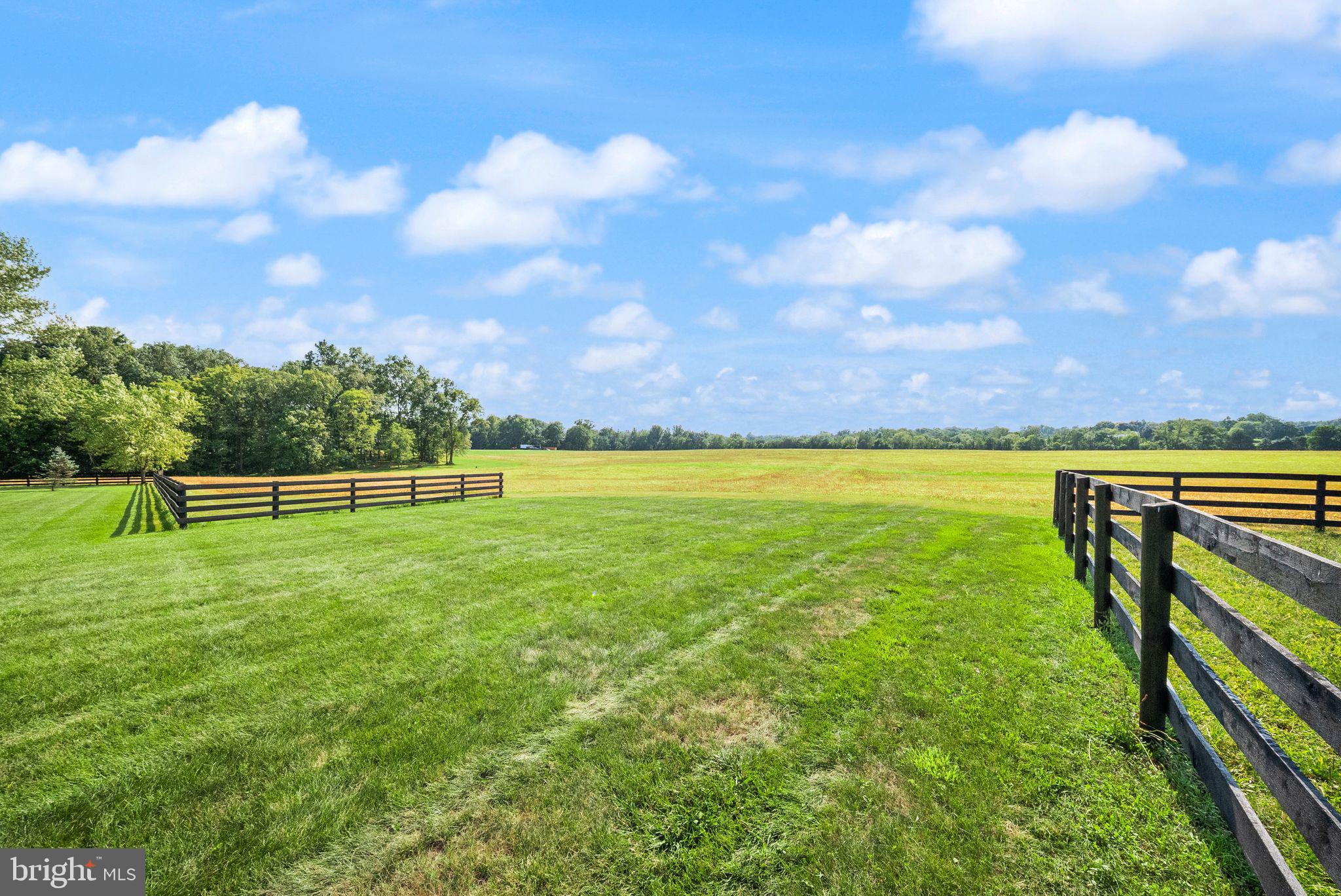 9551 Green Road Midland, VA 22728 - Photo 91 of 106 All painted four-board fencing replaced since 2016