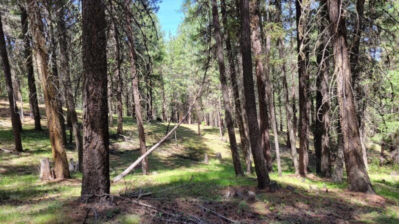 1315 Lofton Creek Road Prineville, OR 97754 - Photo 45 of 61 image000002 (11)