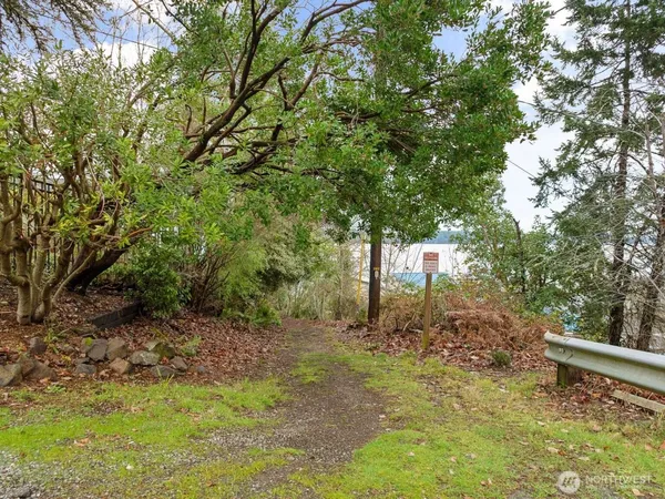a view of a lake from a yard