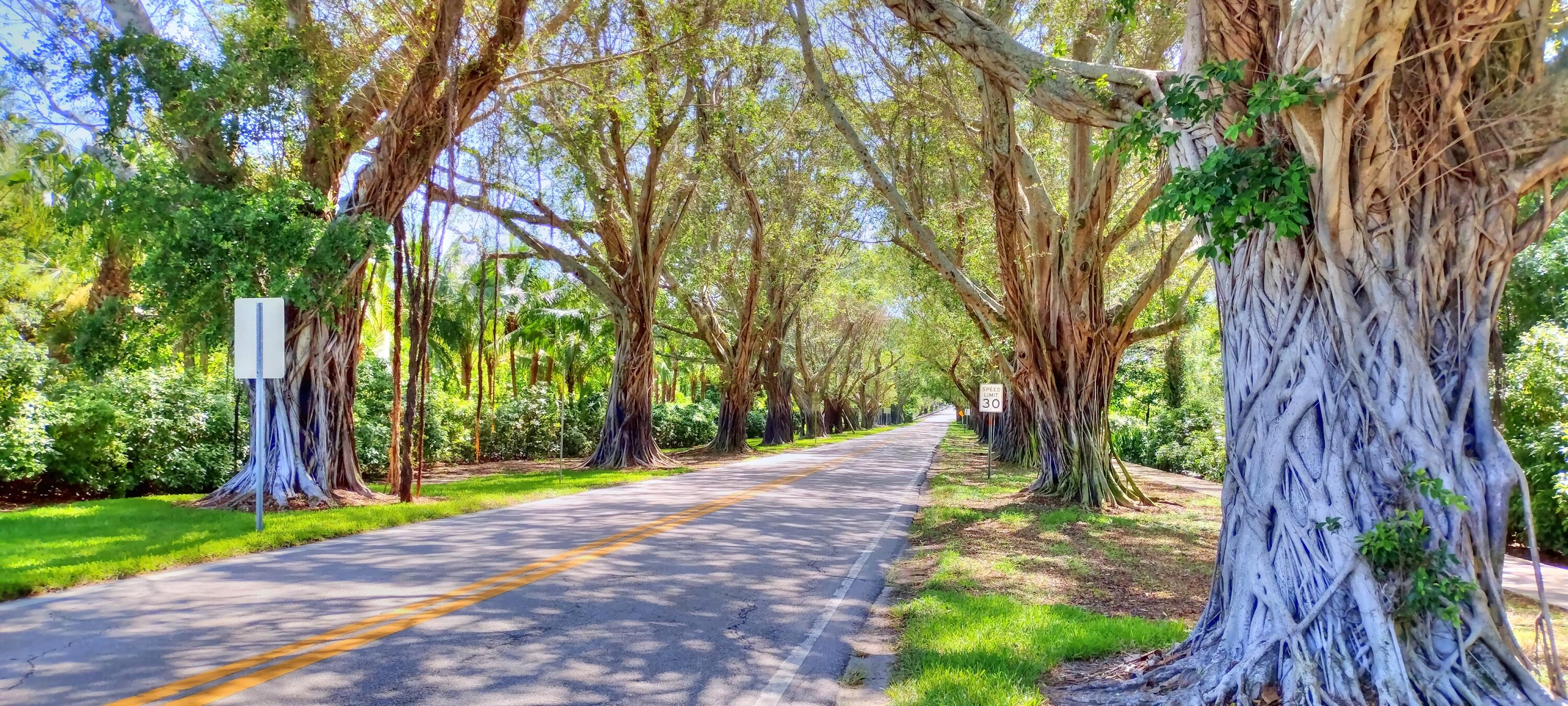 6163 Southeast Georgetown Place Hobe Sound, FL 33455 - Photo 58 of 59 Trees to Beach