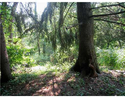 836 Hamil Road Penn Hills, PA 15147 - Photo 3 of 6 Land/Lot.