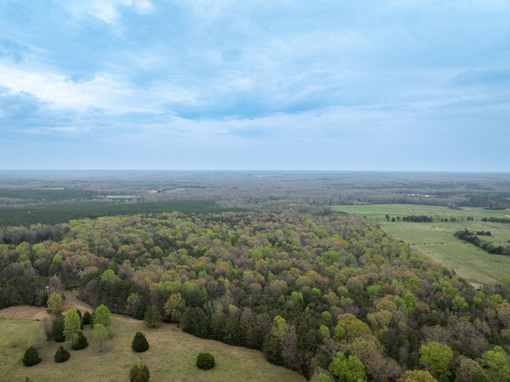 School Road Farmville, VA 23901 - Photo 30 of 38 Gallery Image 30
