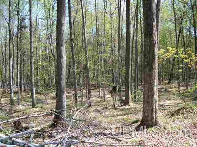 Tbd Tbd Unnamed Woods (west) Road Felch, MI 49831 - Photo 2 of 3