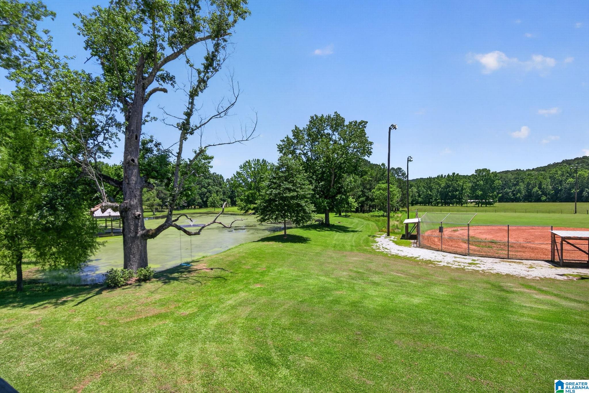 3463 County Road 3 Delta, AL 36258 - Photo 76 of 100