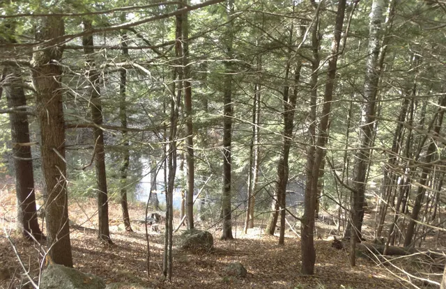 $53,000 | 0 Washington Pond Road, Marlow, NH 03456