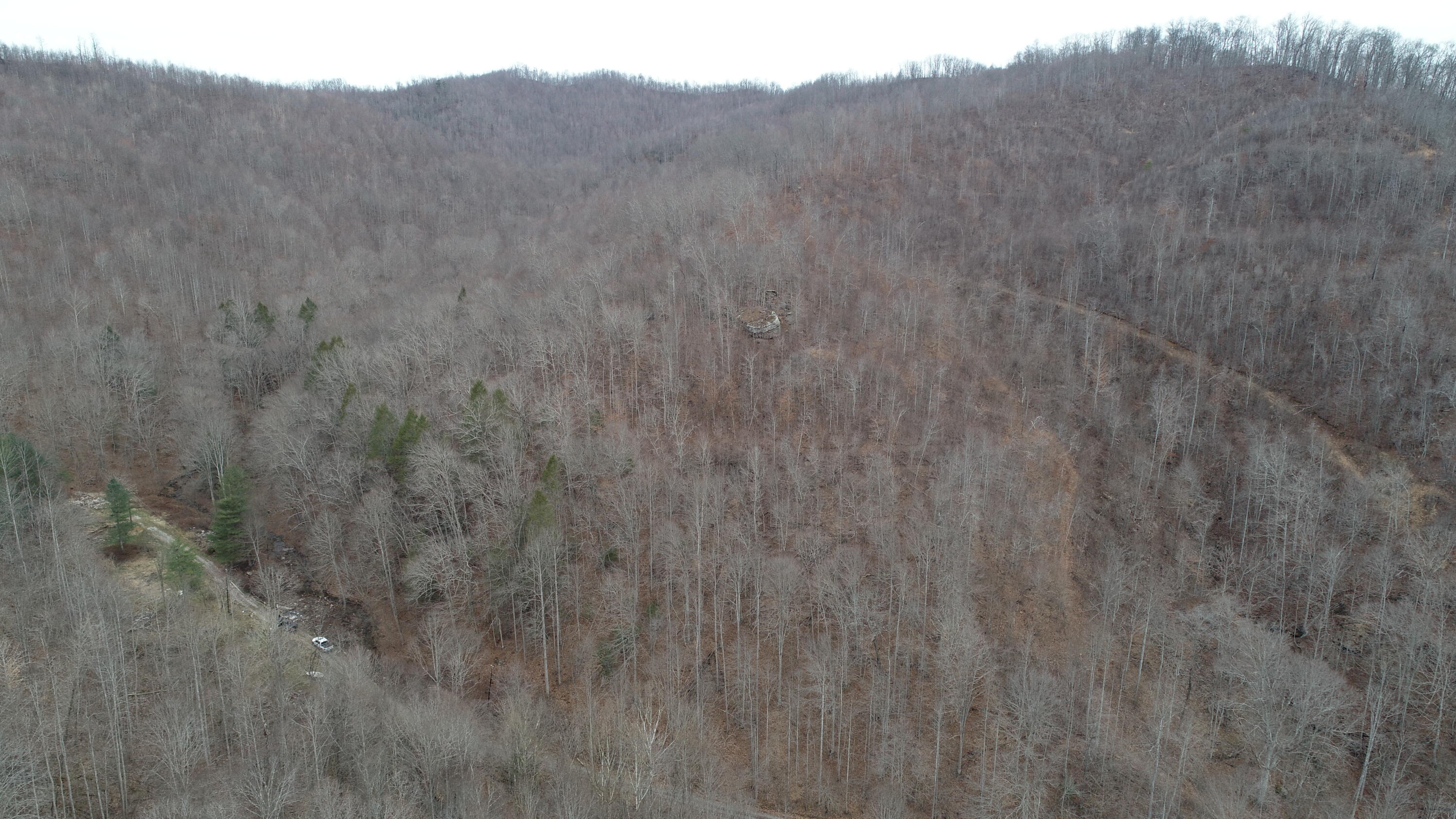 9999 Henry Branch Rd Flat Walker, KY 40997 - Photo 13 of 14 DJI_0401