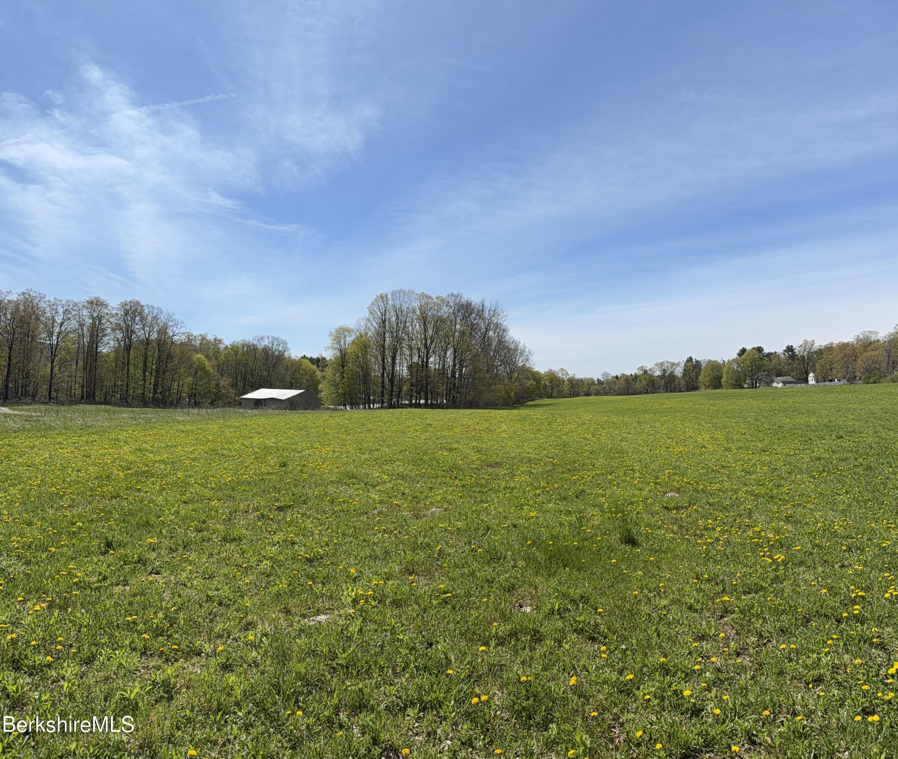 752 State Road Richmond, MA 01254 - Photo 65 of 71 18 Acre Pasture