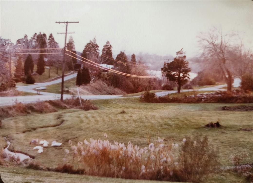 130 Bulgarmarsh Road Tiverton, RI 02878 - Photo 7 of 12